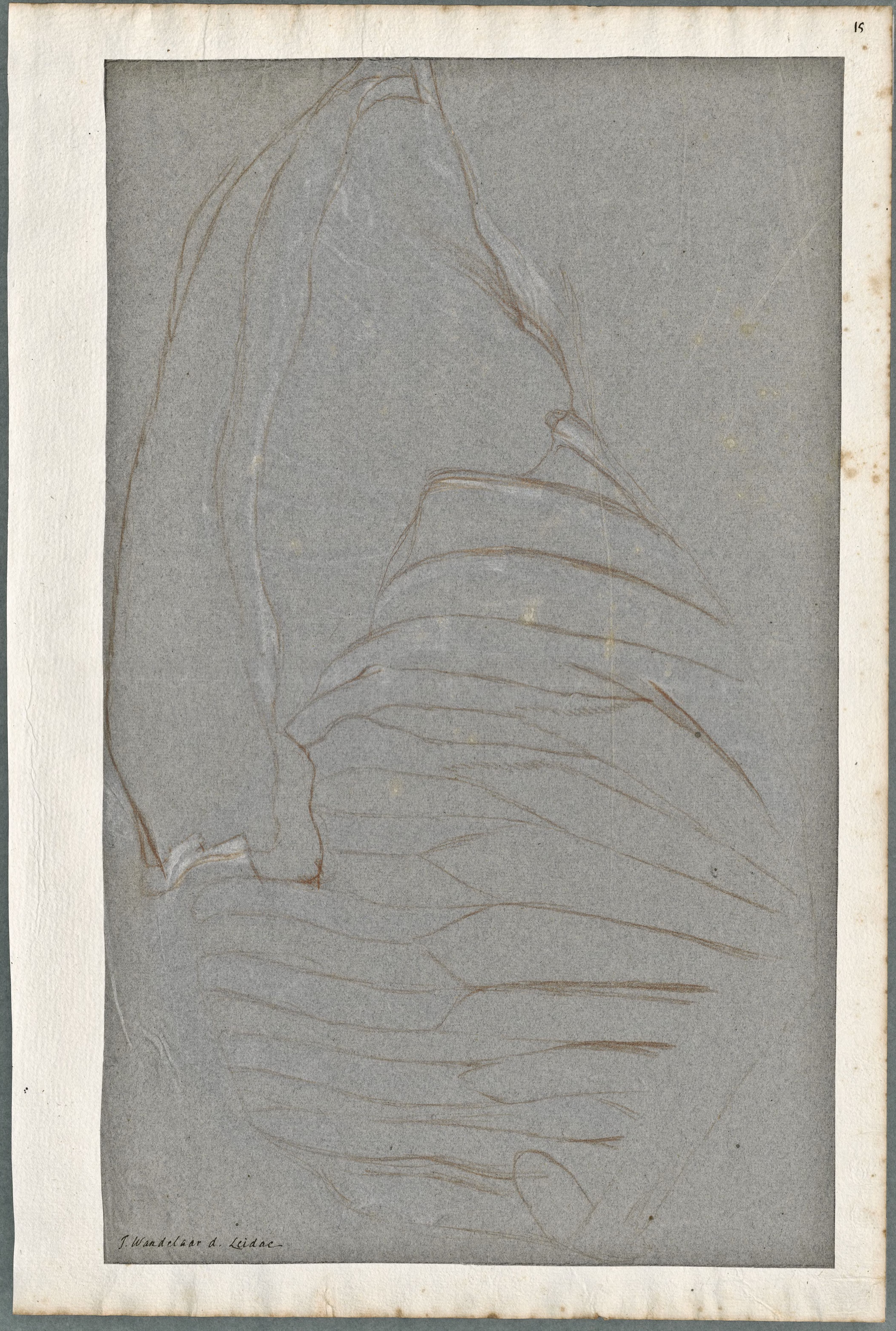 Anatomical drawings: muscles of the torso