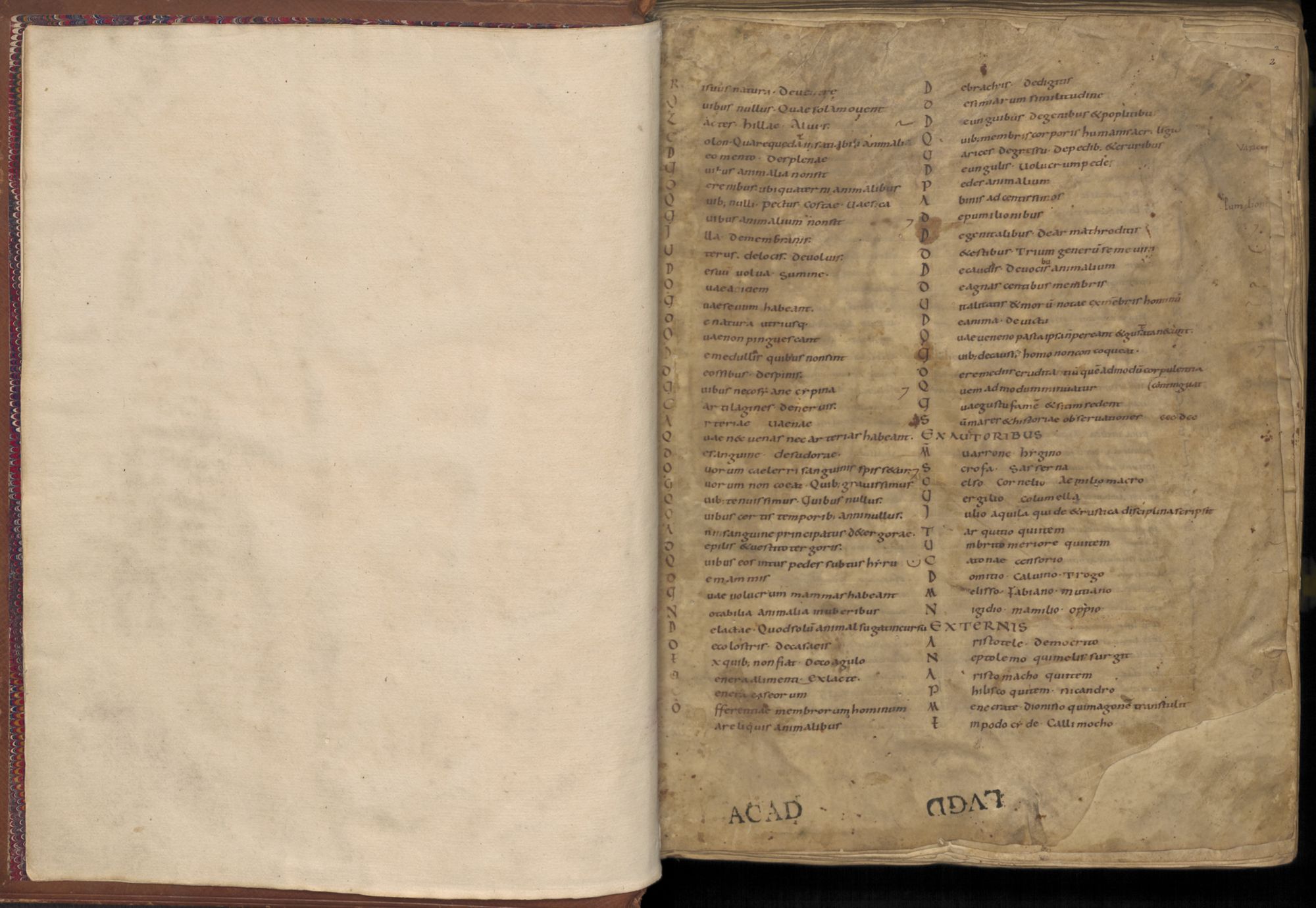 Plinijaus veikalo „Naturalis historia“ rankraščio puslapis.