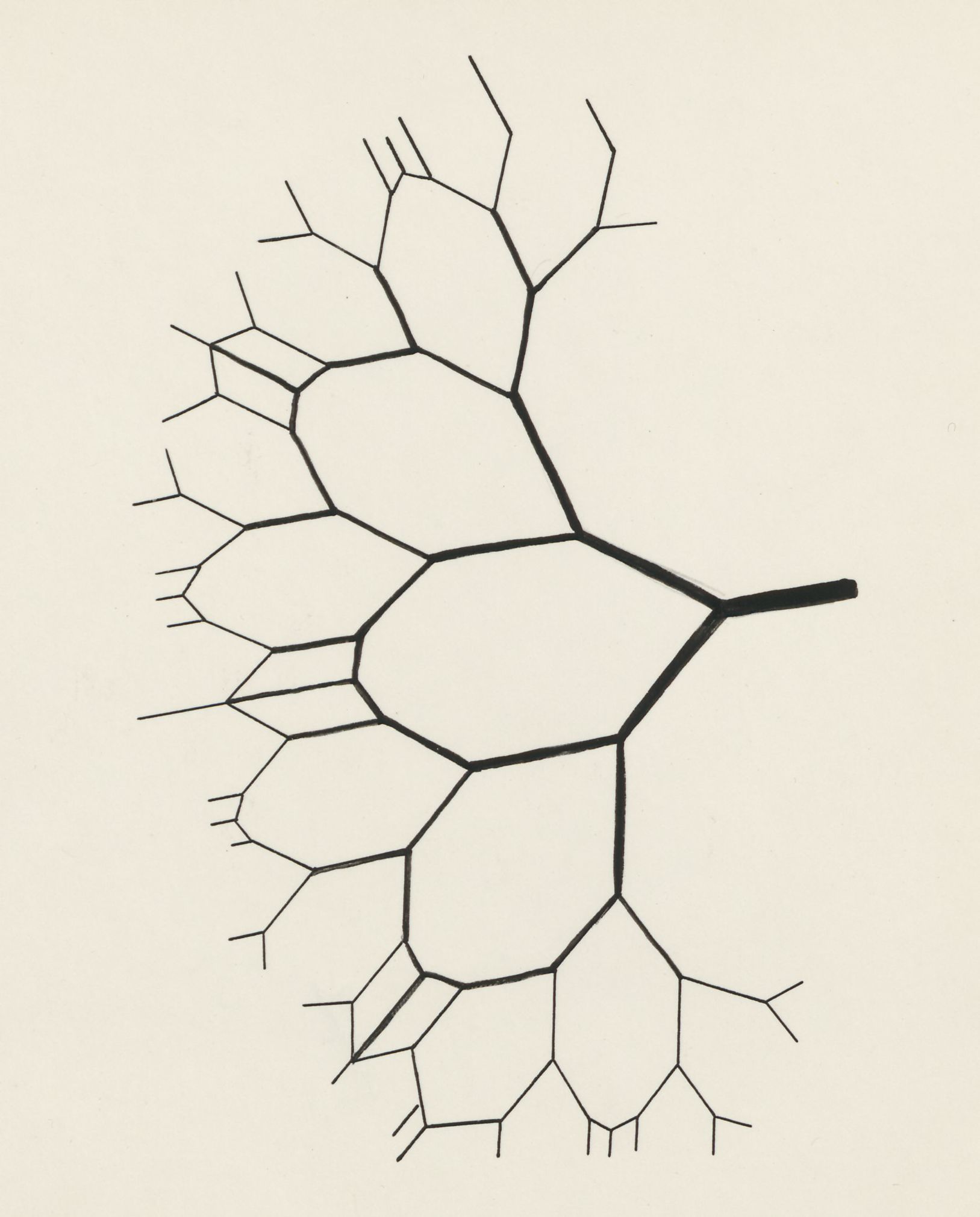 Schematic representation of a lung