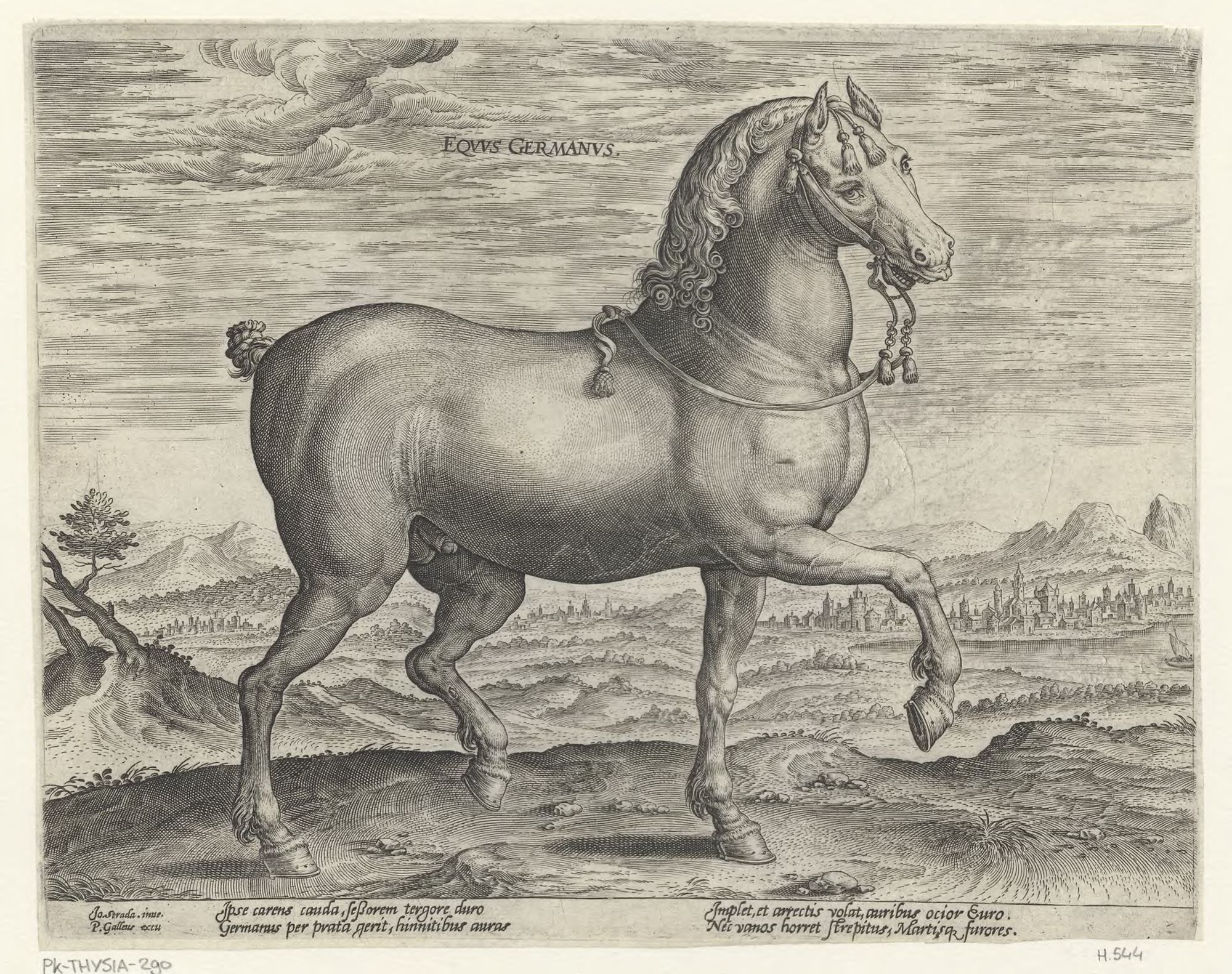 The stable of Don Juan of Austria: Equus Germanus