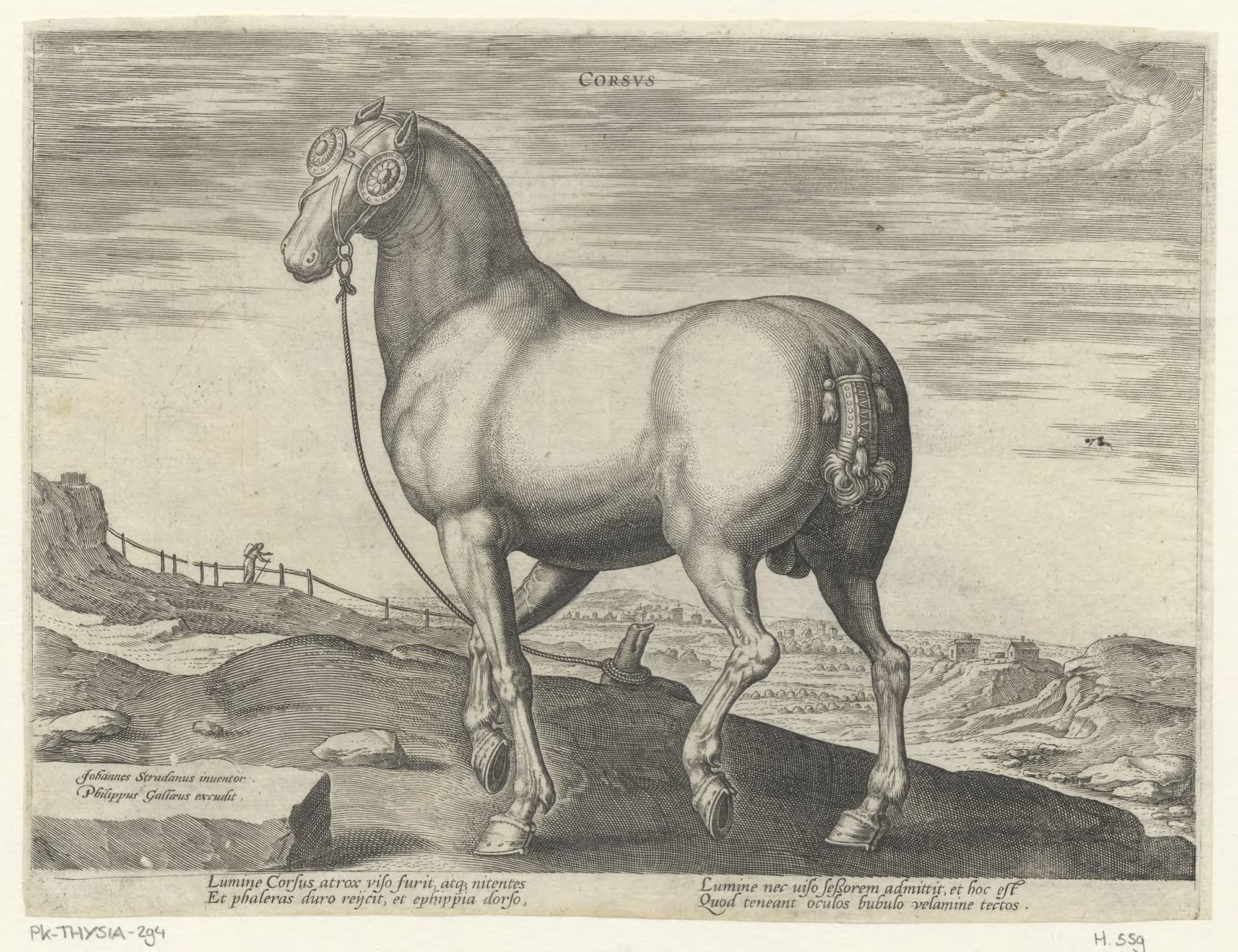 The stable of Don Juan of Austria: Corsus