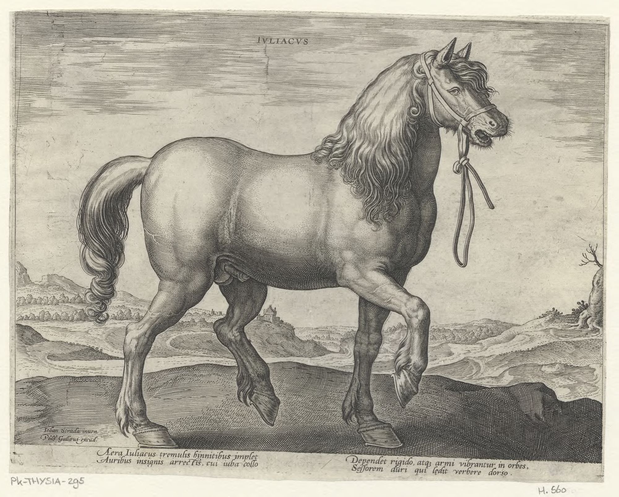 The stable of Don Juan of Austria: Juliacus