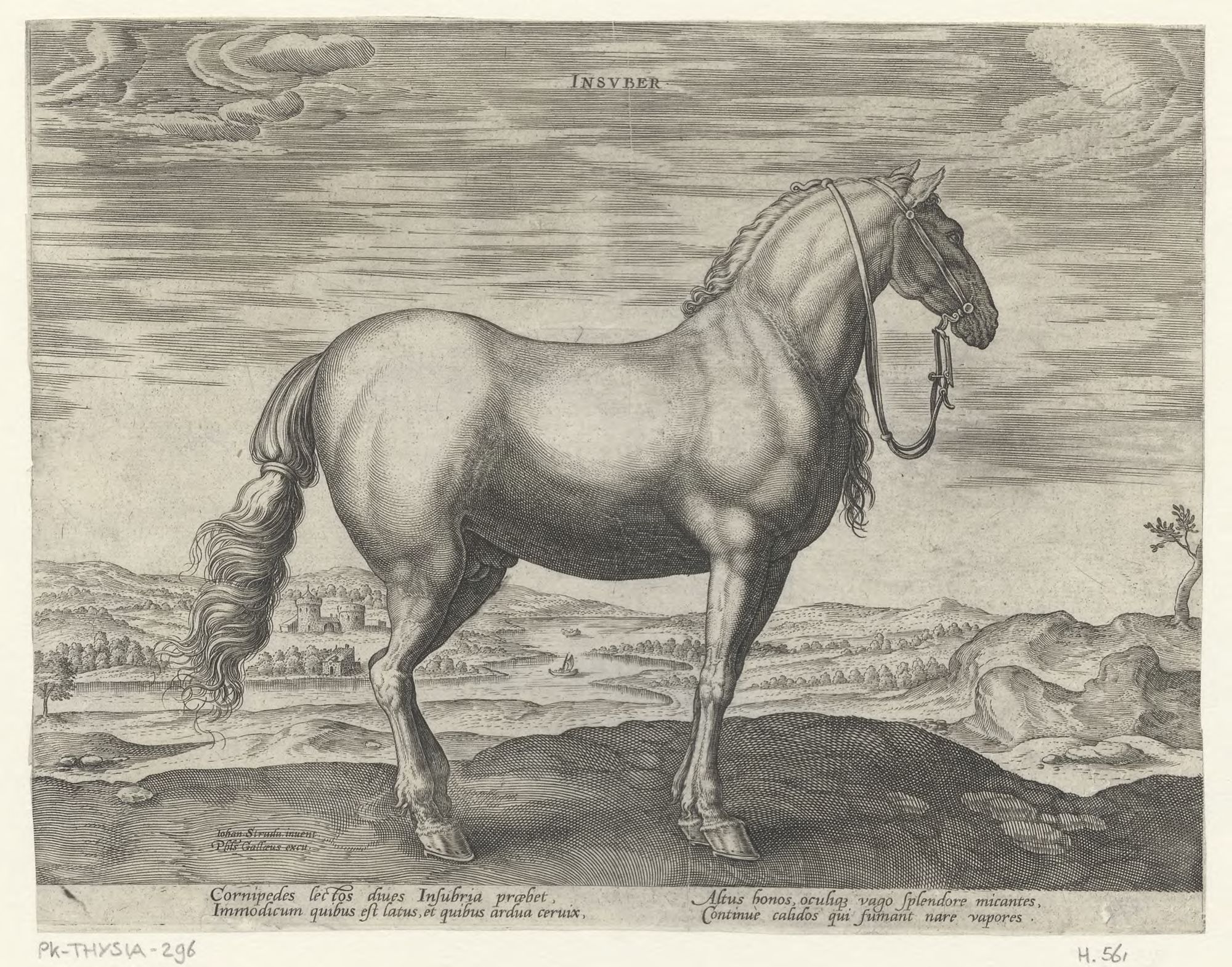 The stable of Don Juan of Austria: Insuber