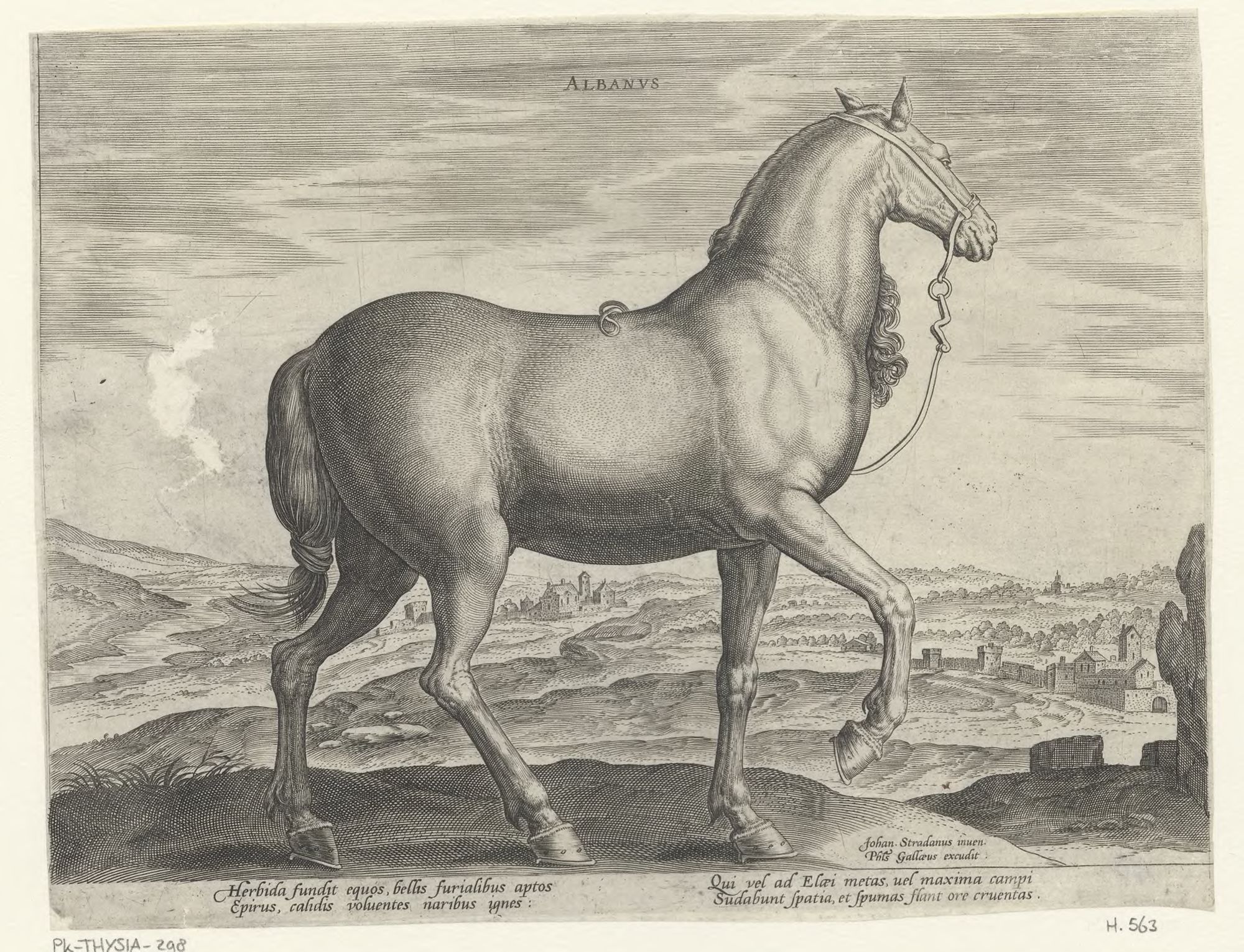 The stable of Don Juan of Austria: Albanus