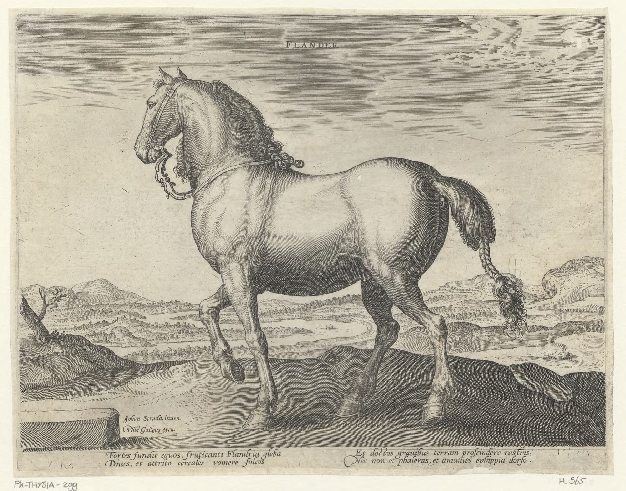 The stable of Don Juan of Austria: Flander