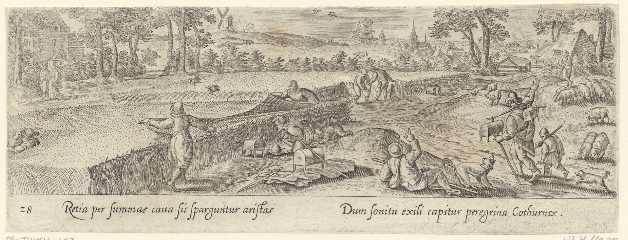 Venationis, piscationis, et aucupii typi: Netting quails