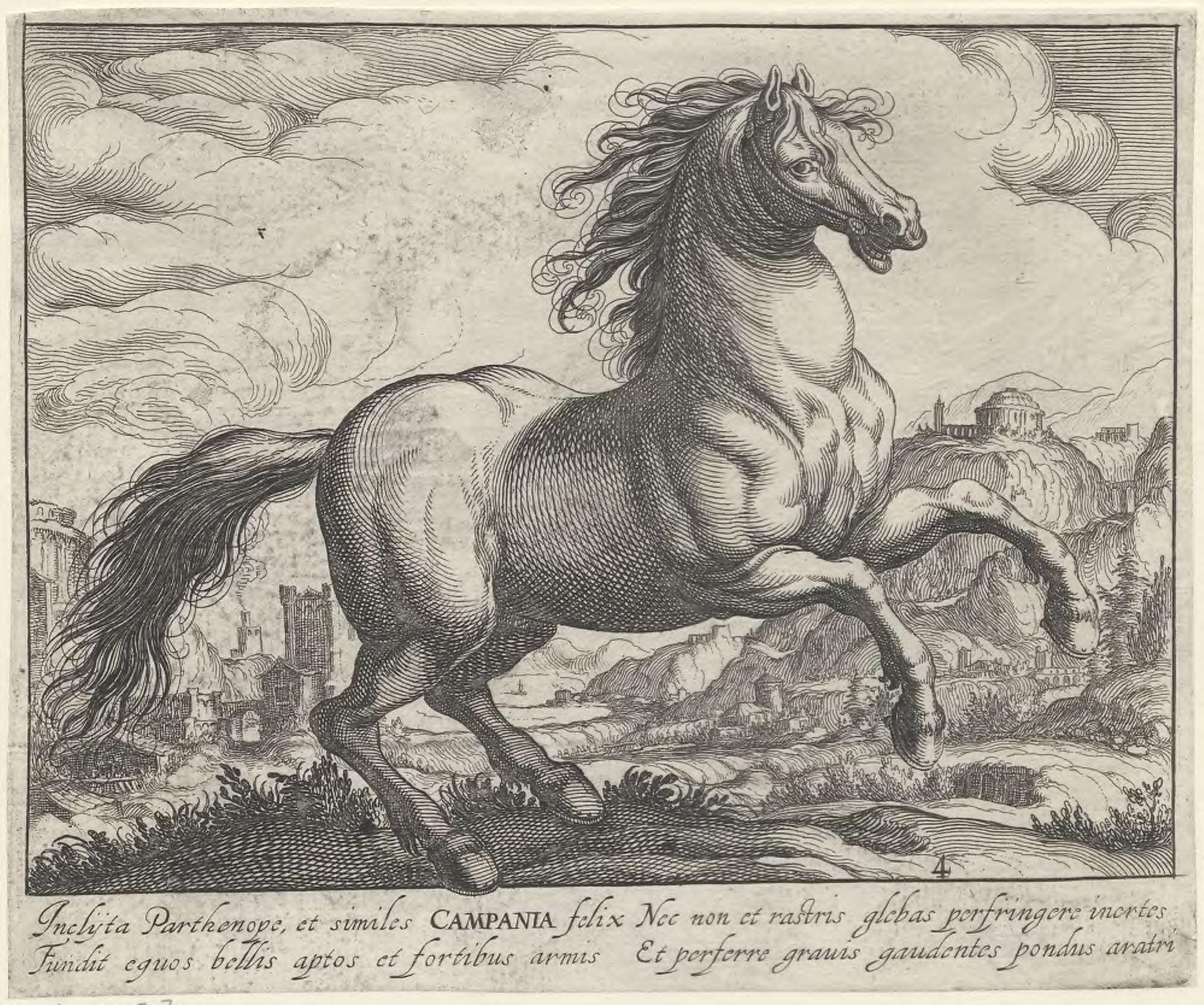 Horse breeds: Landscape with a horse from Campania