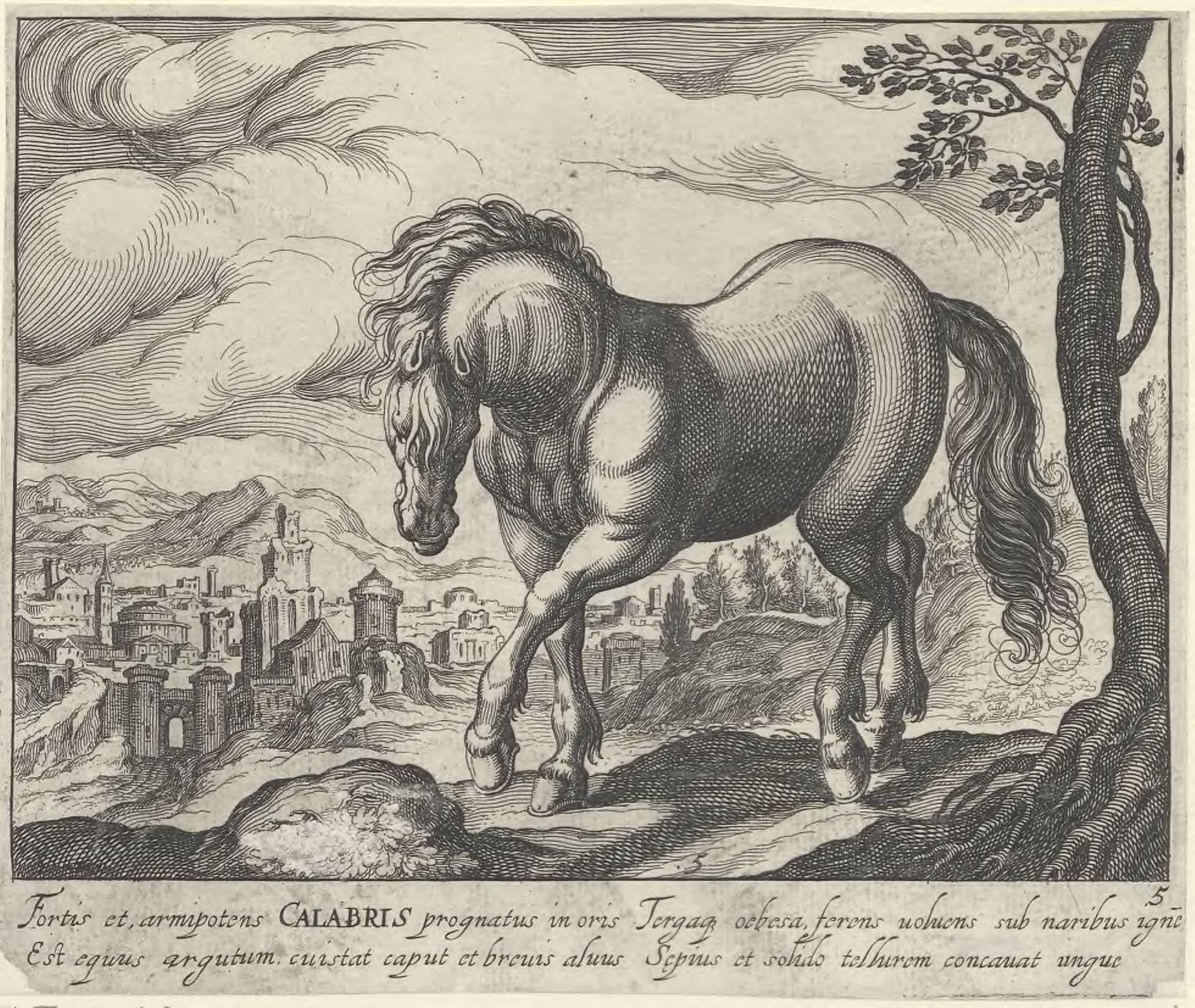Horse breeds: Landscape with a horse from Calabria