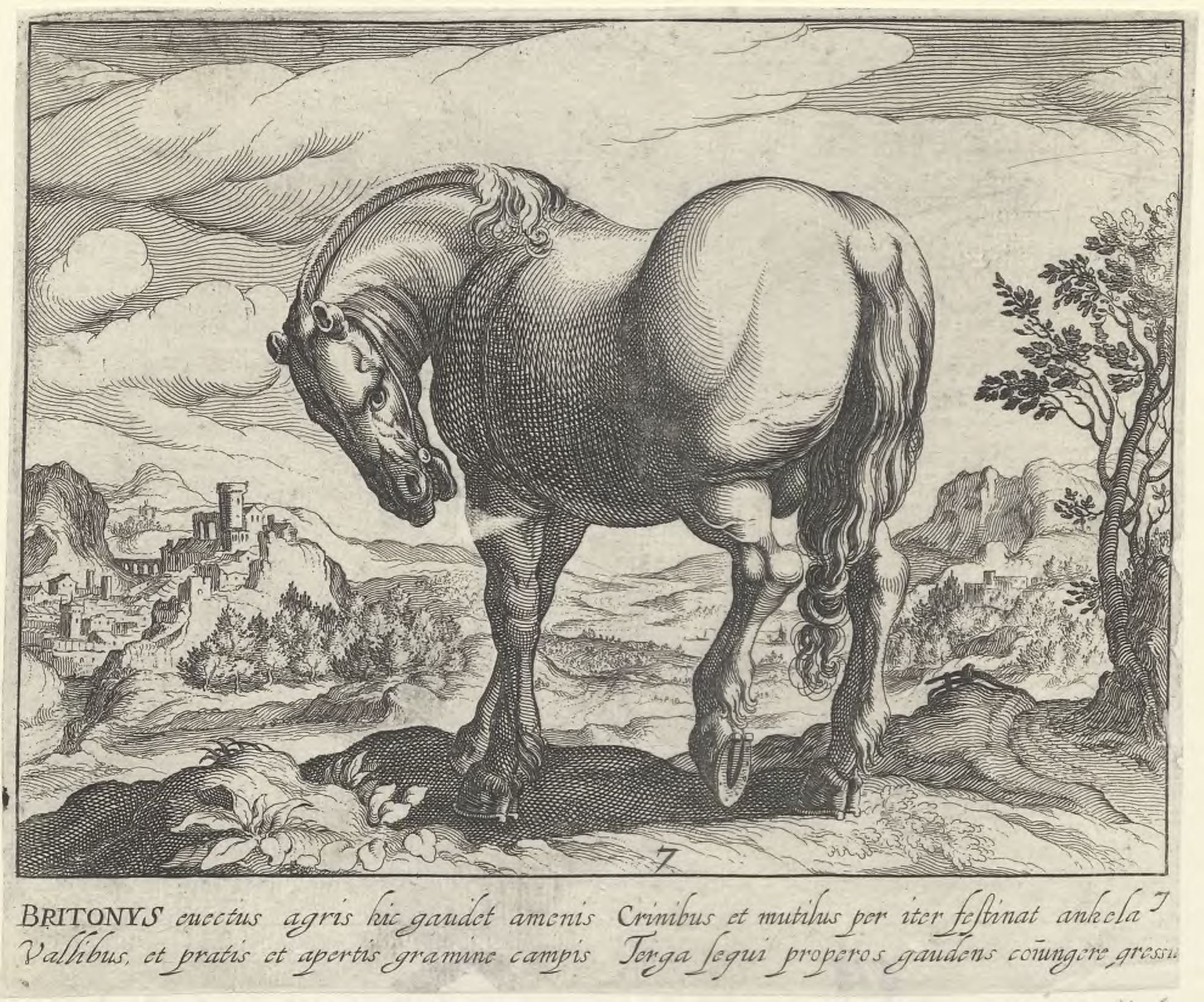 Horse breeds: Landscape with a British horse