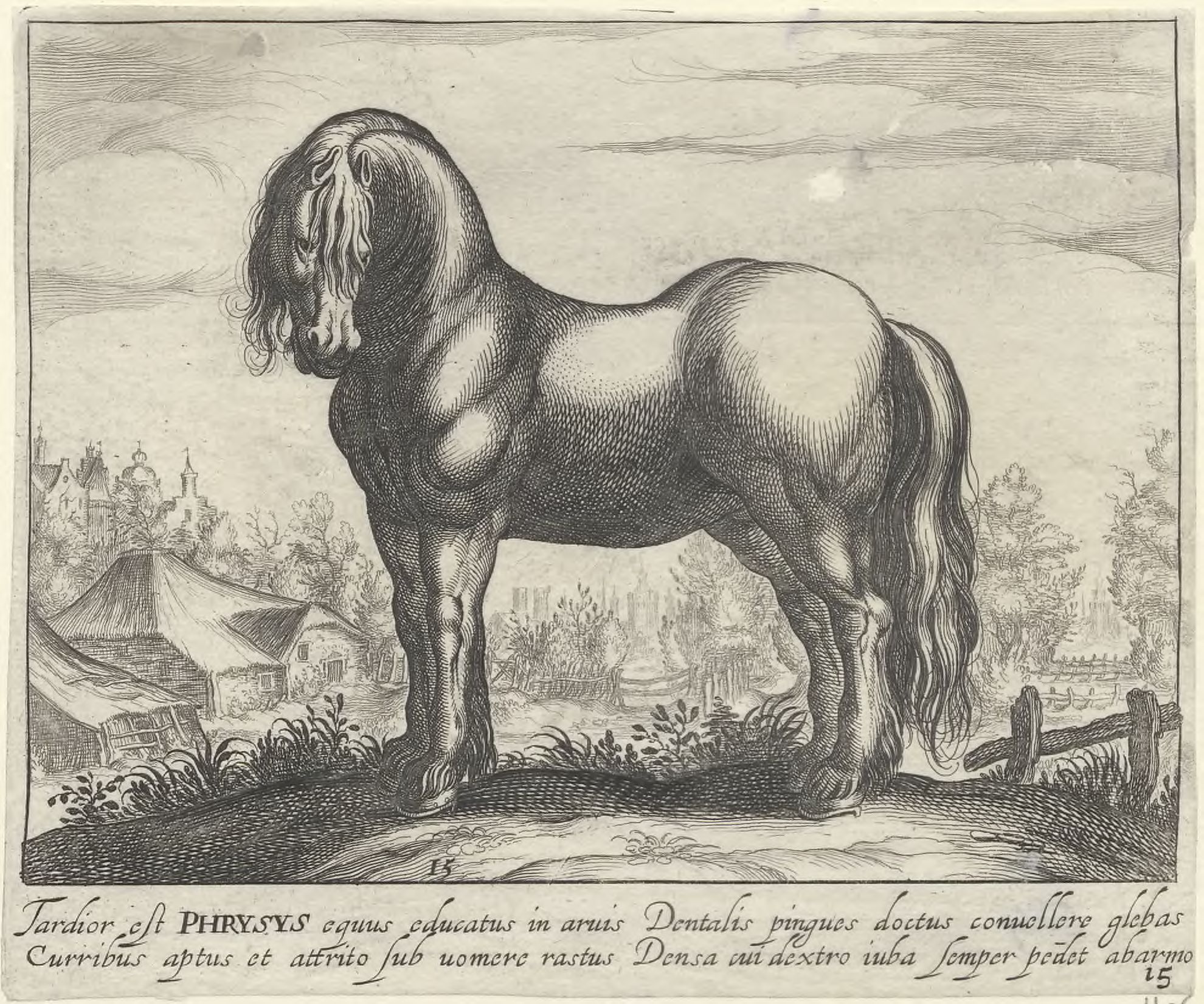 Horse breeds: Landscape with a Friesian horse