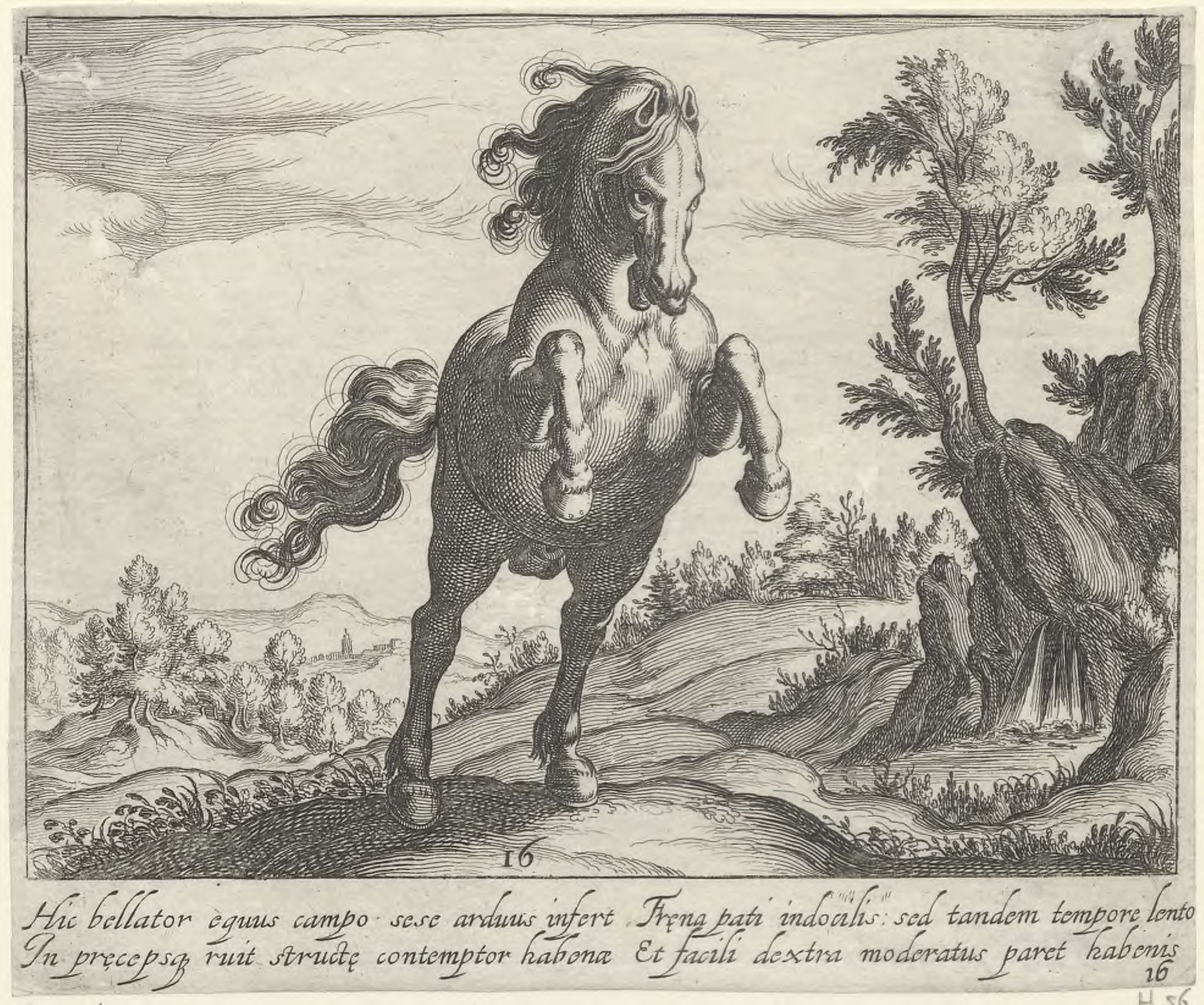 Horse breeds: Landscape with a prancing horse