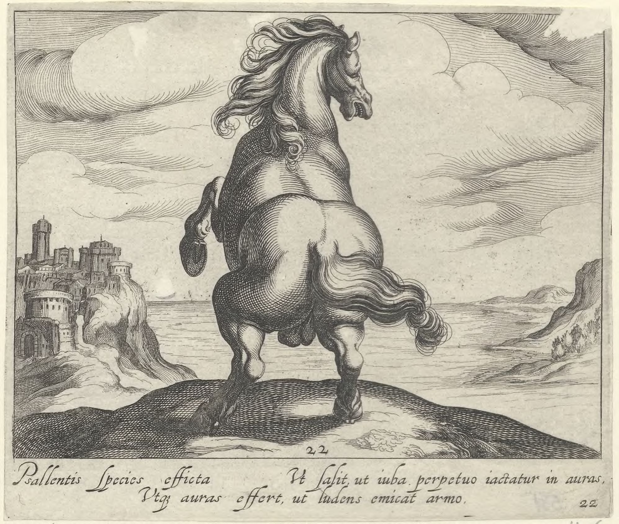 Horse breeds: Landscape with a prancing horse