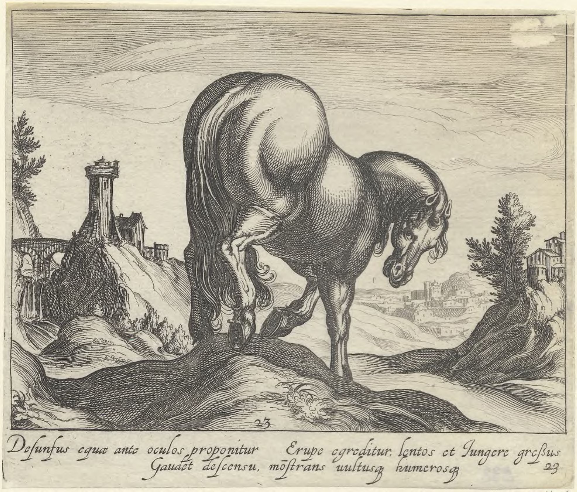 Horse breeds: Landscape with a horse