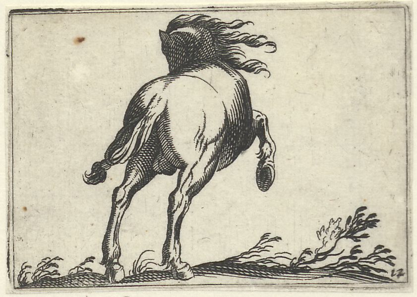 Horse breeds, small series: A rearing horse, seen from behind