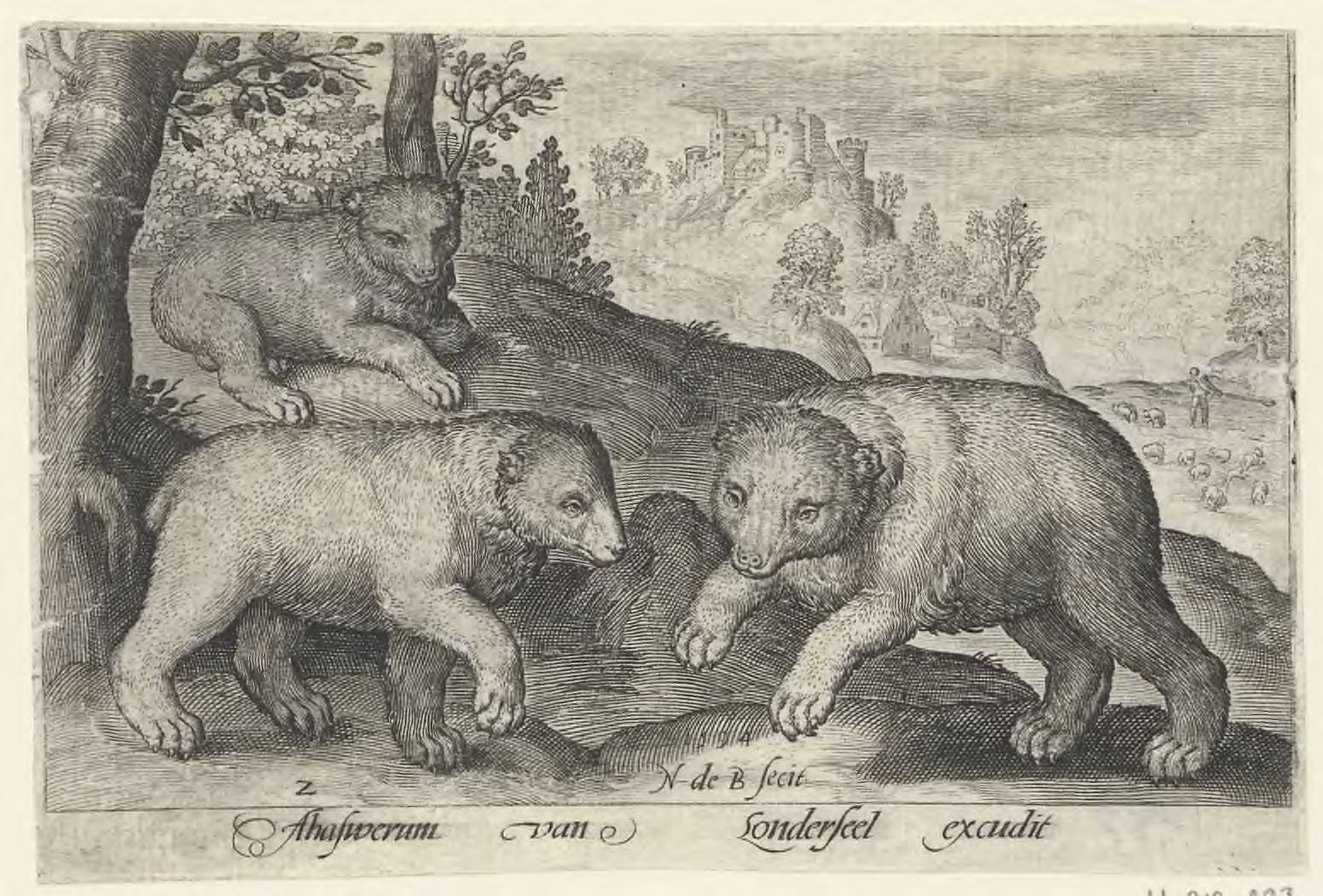 Animalium quadrupedum: three bears