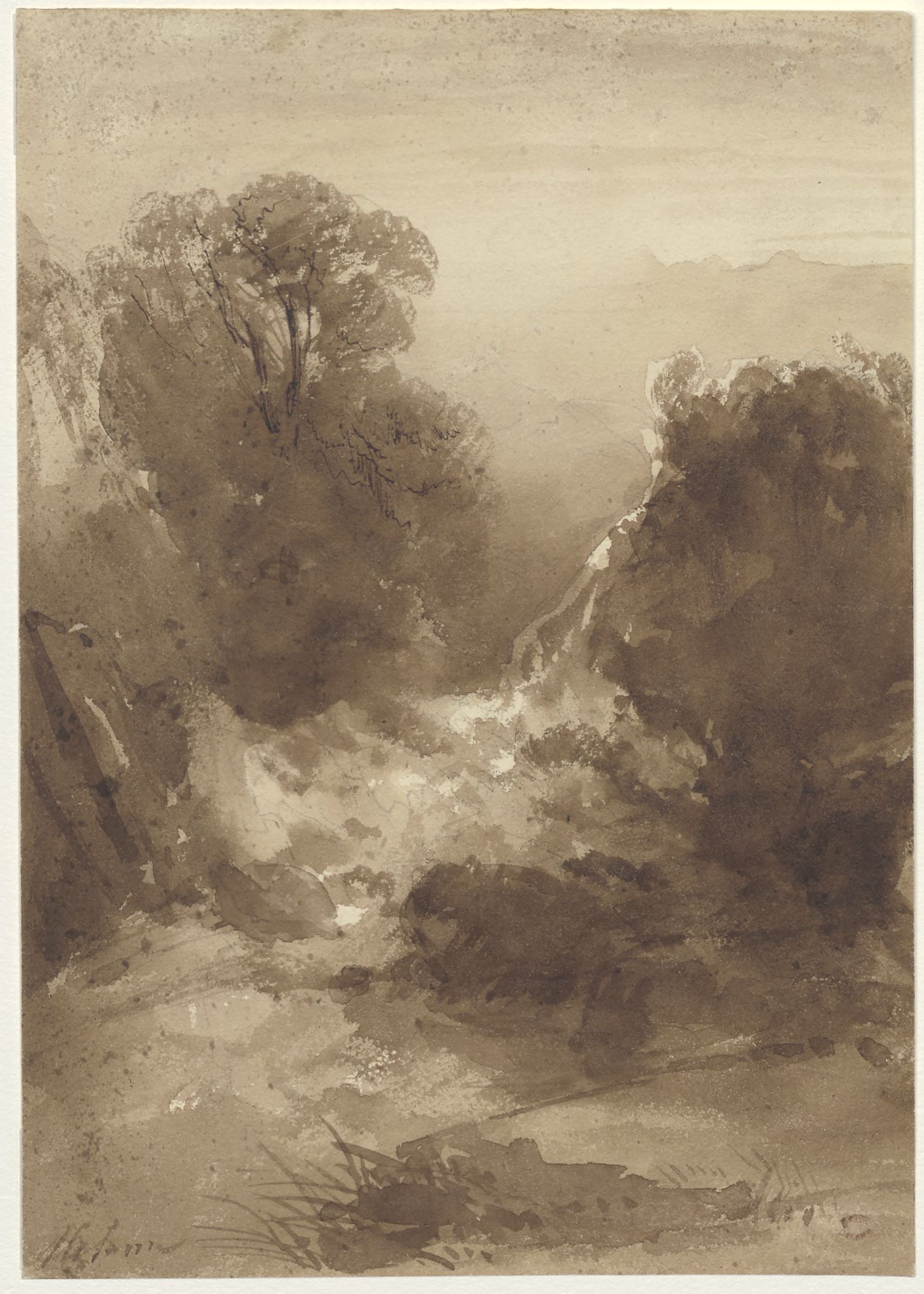 Wooded landscape
