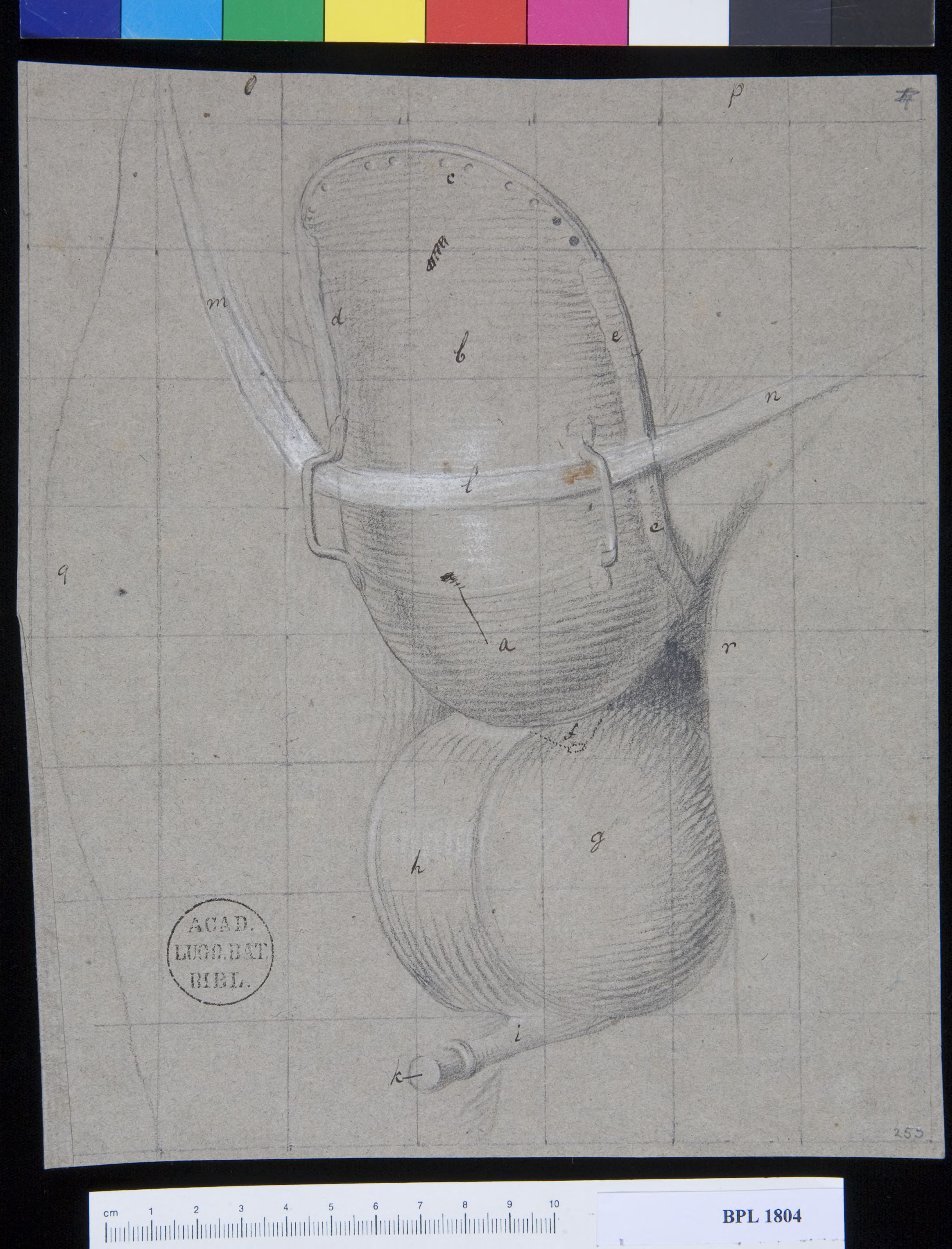Pathology, fractures (Scrotum)