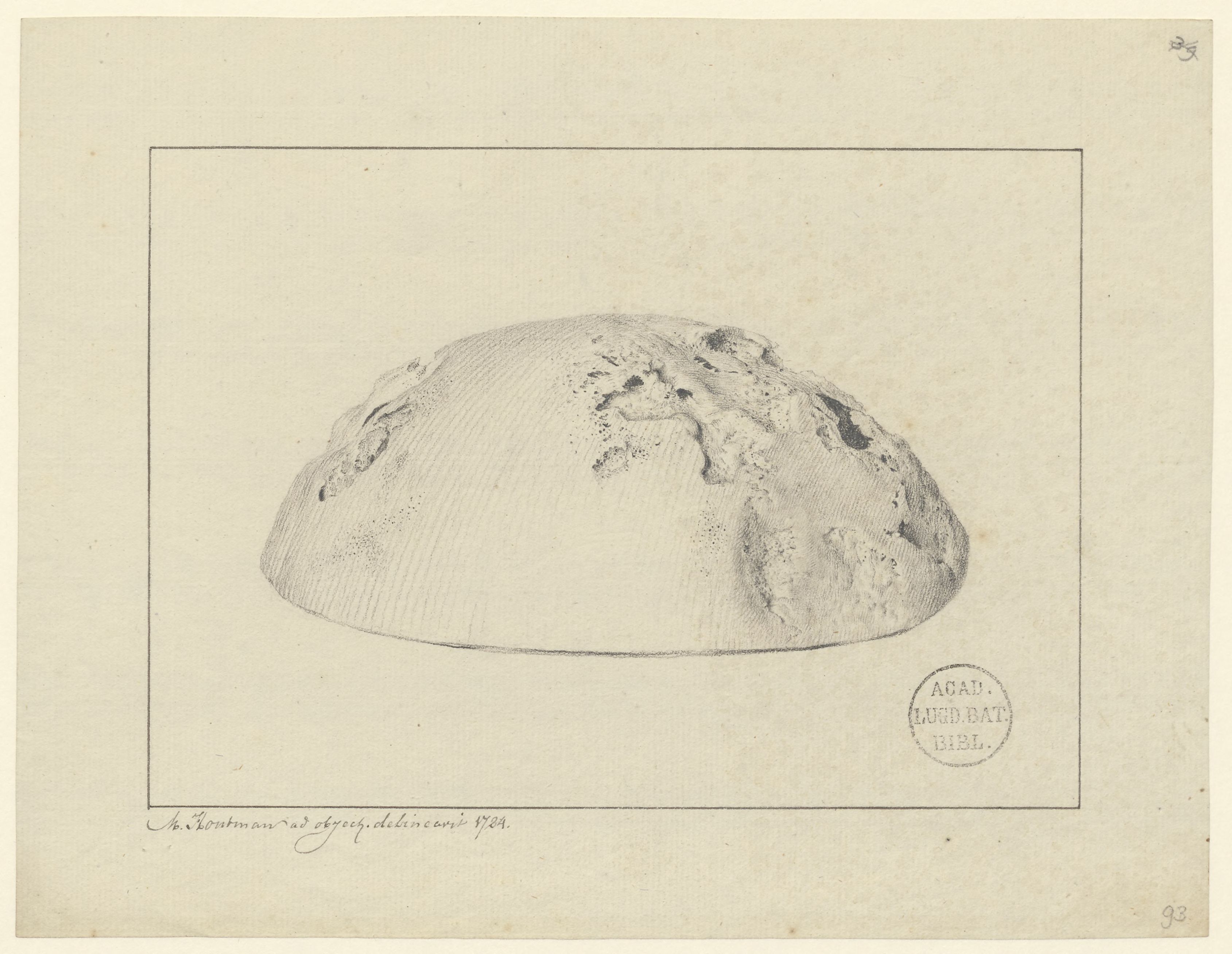 Skull; Pathology, fractures