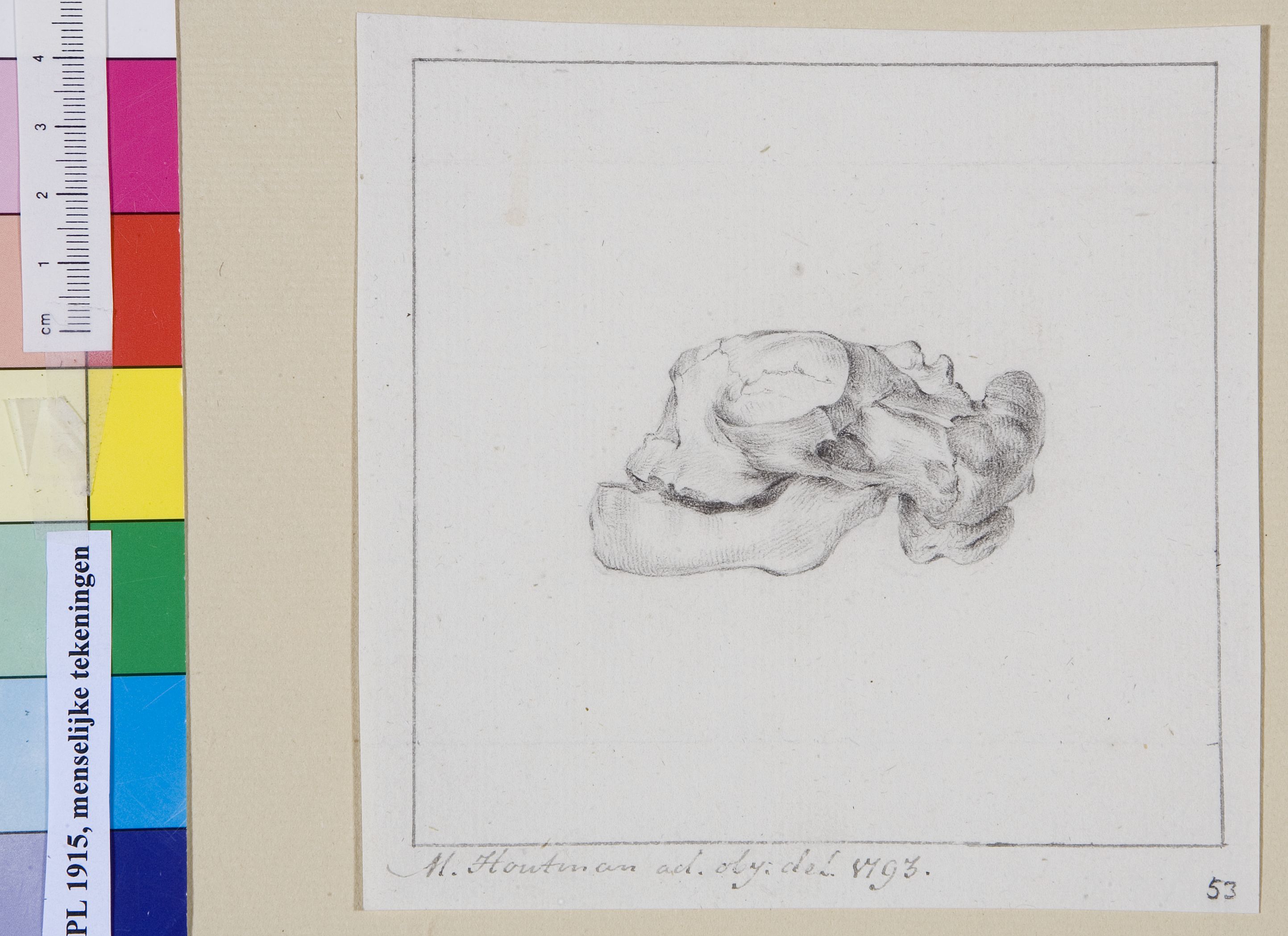Child's skull