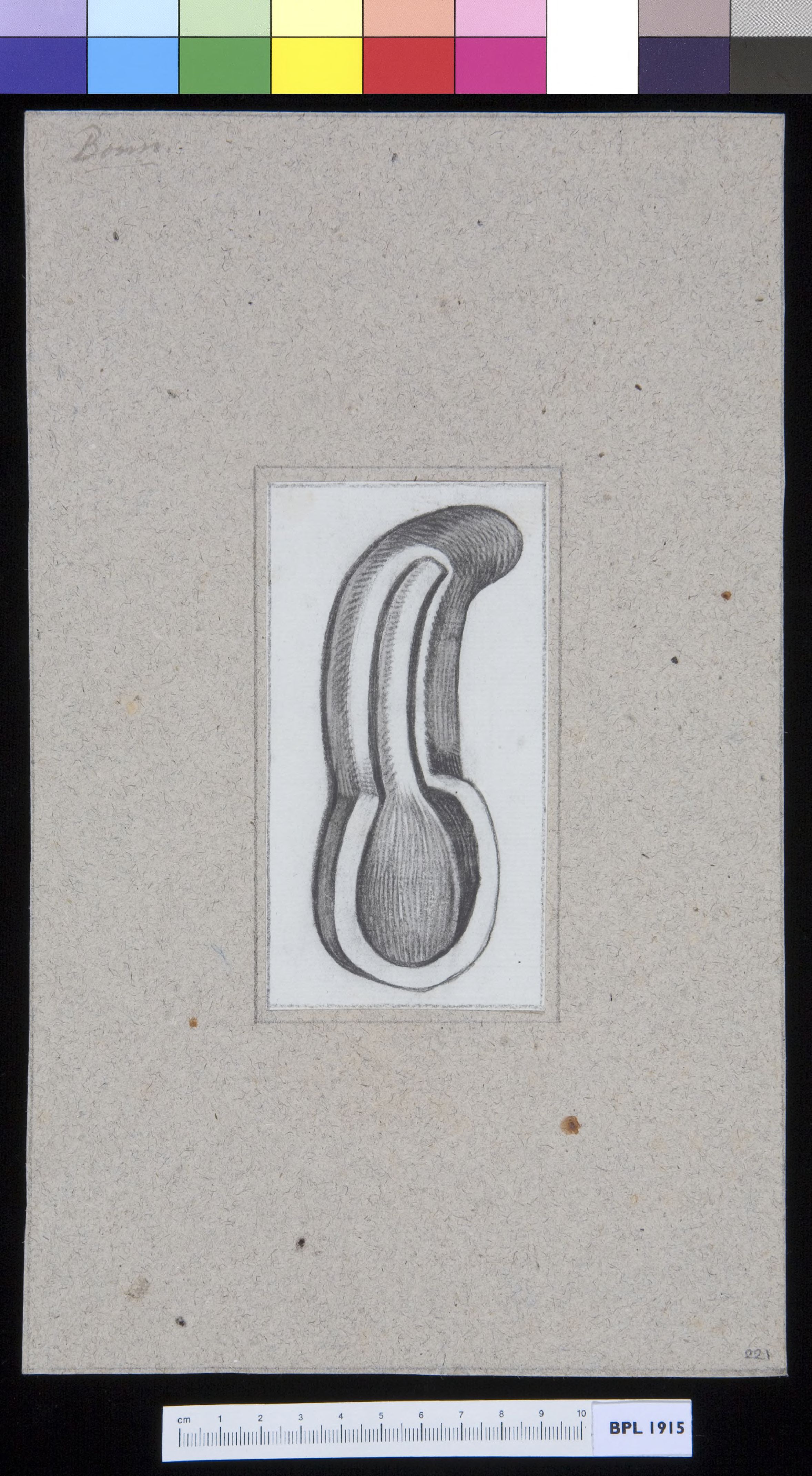 Unidentified subject