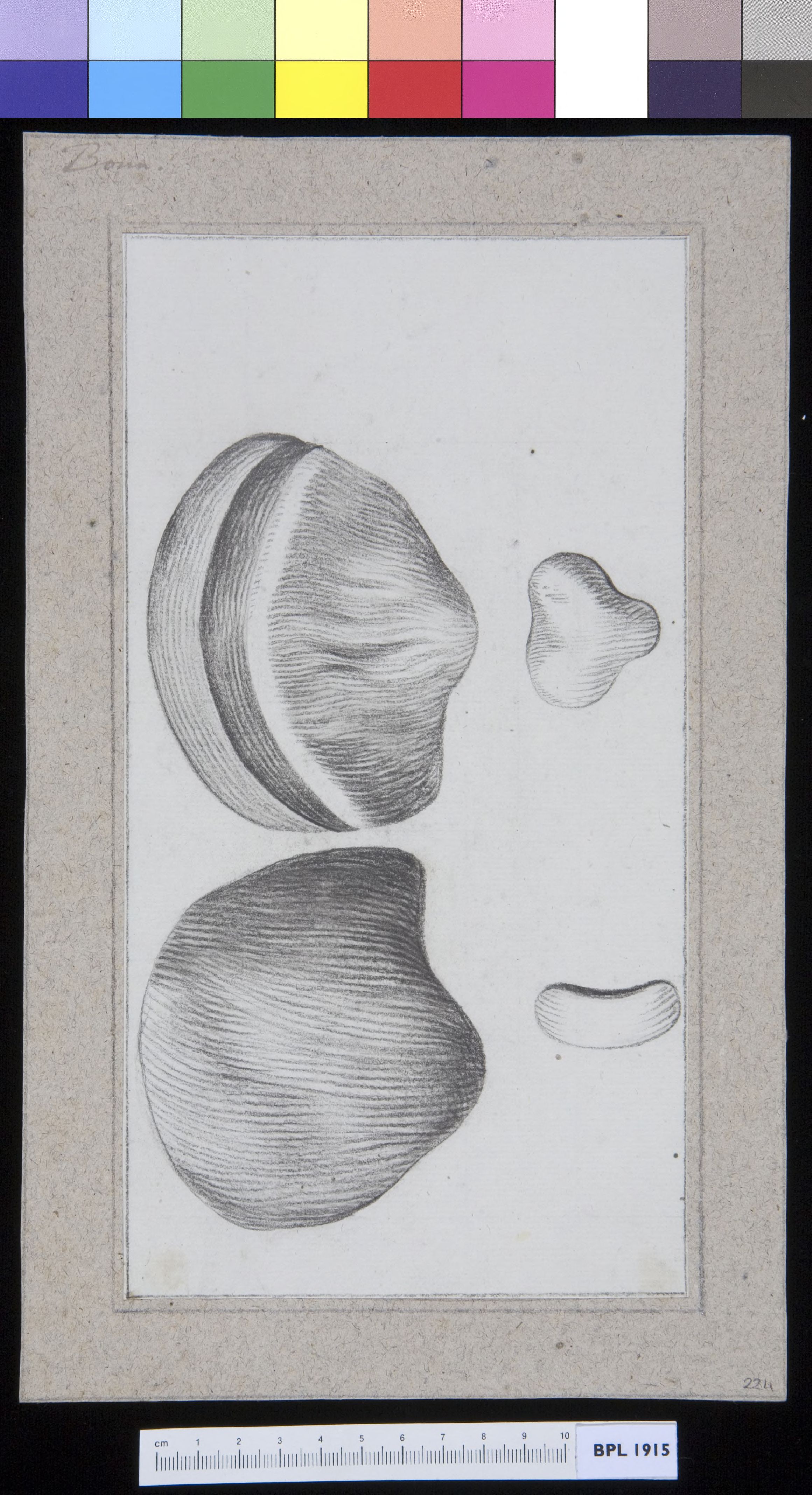Unidentified subject