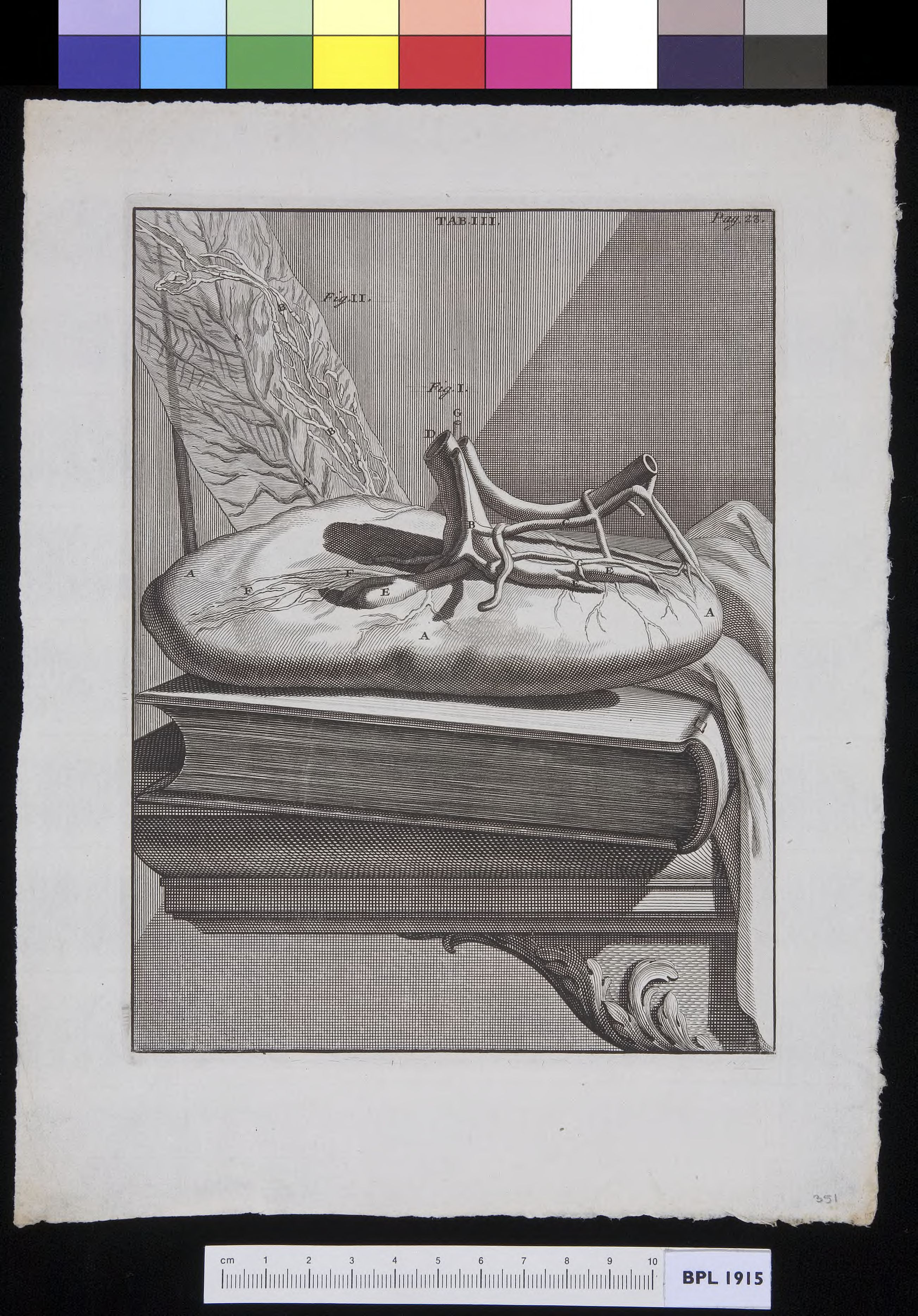 Organ lying on a book