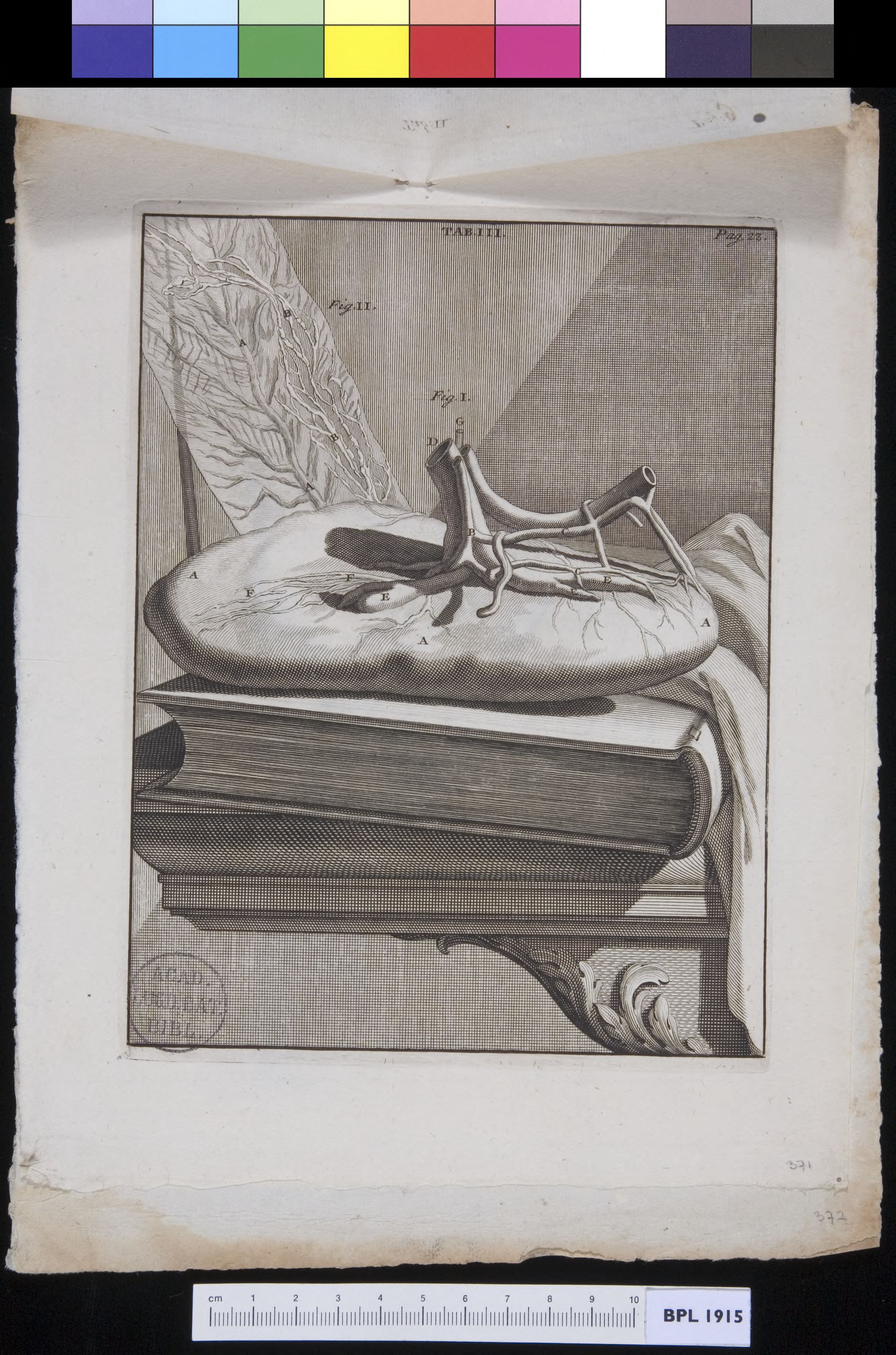 Organ lying on a book