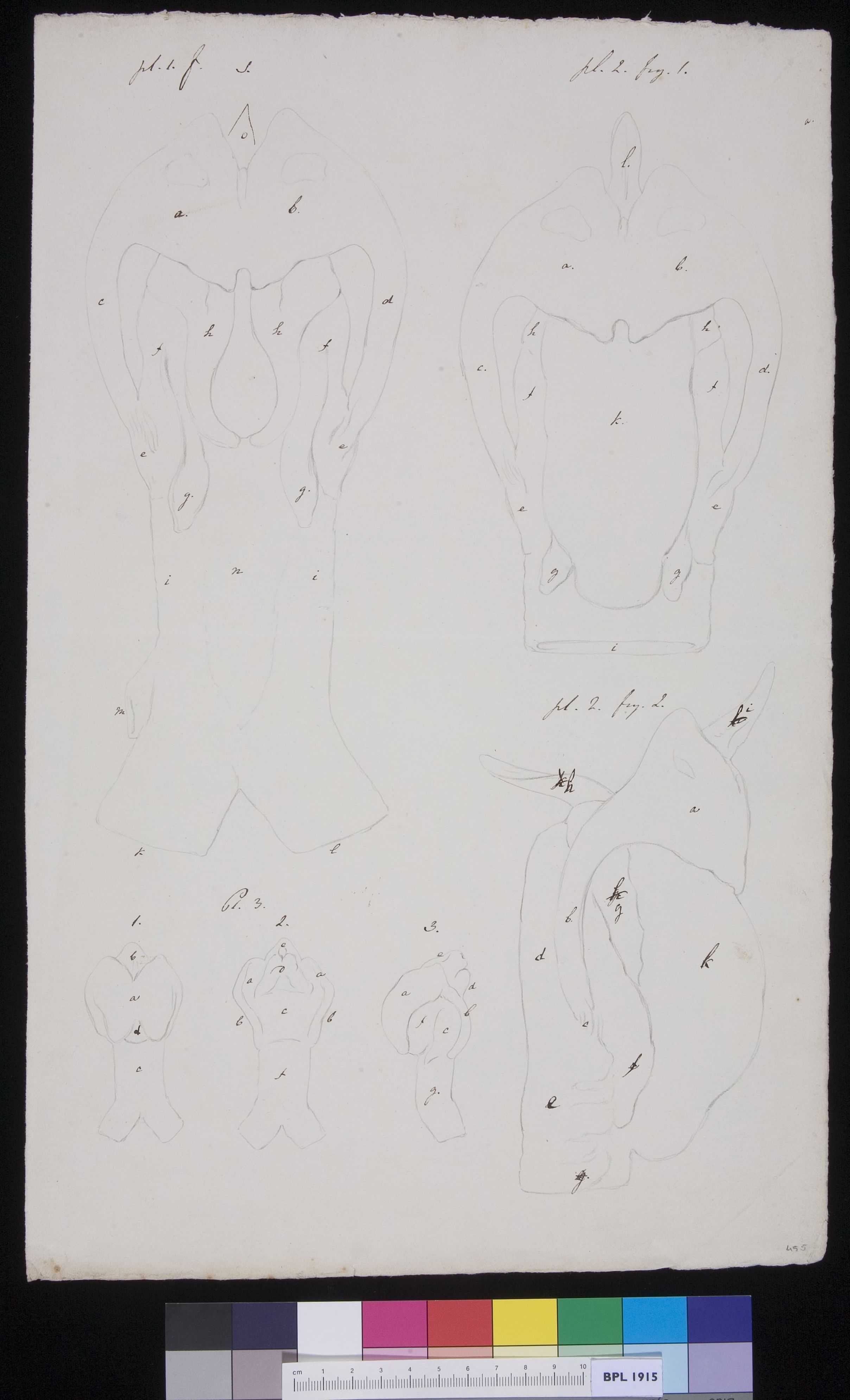 Unidentified subject (design for a publication)
