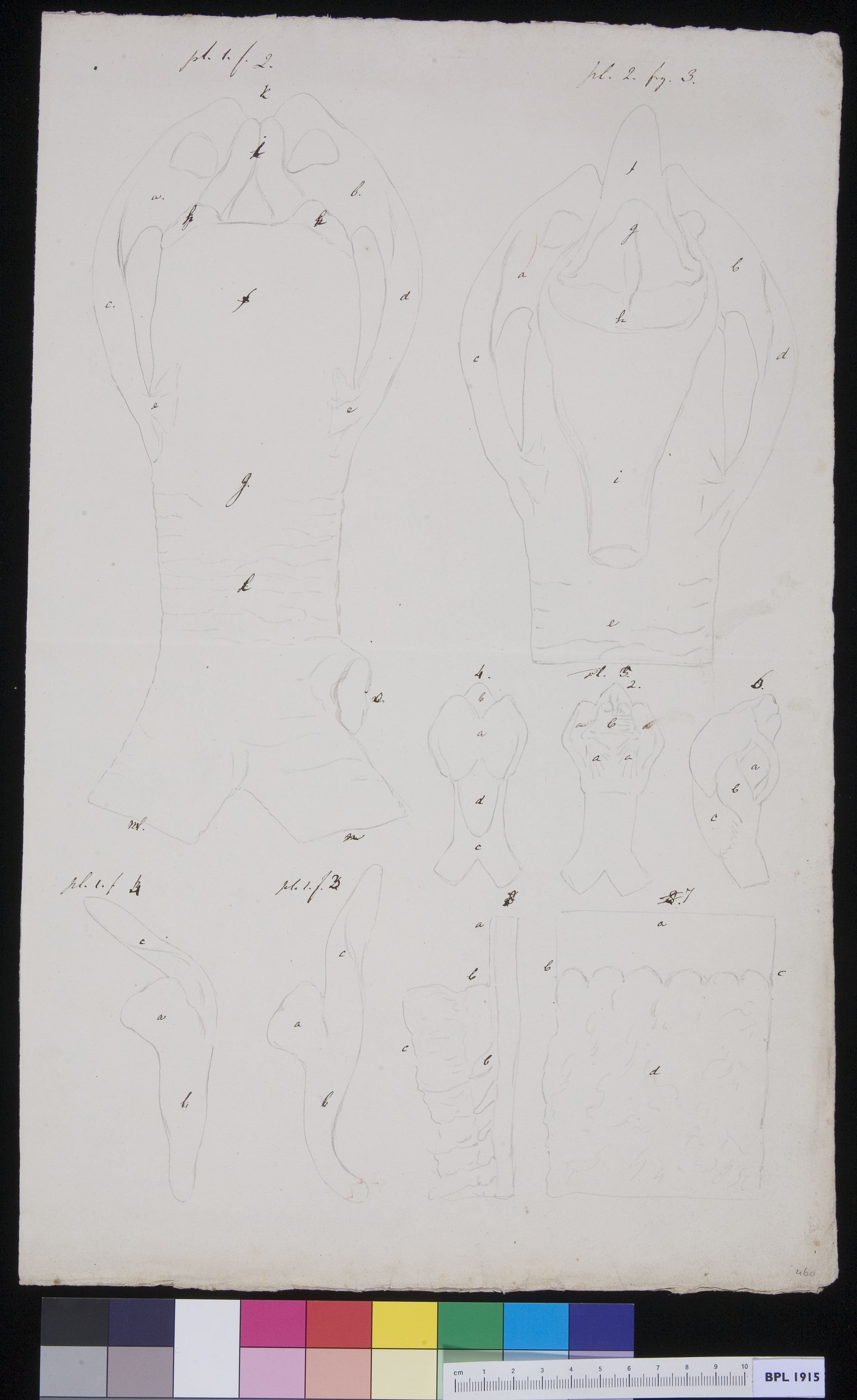Unidentified subject (design for a publication)
