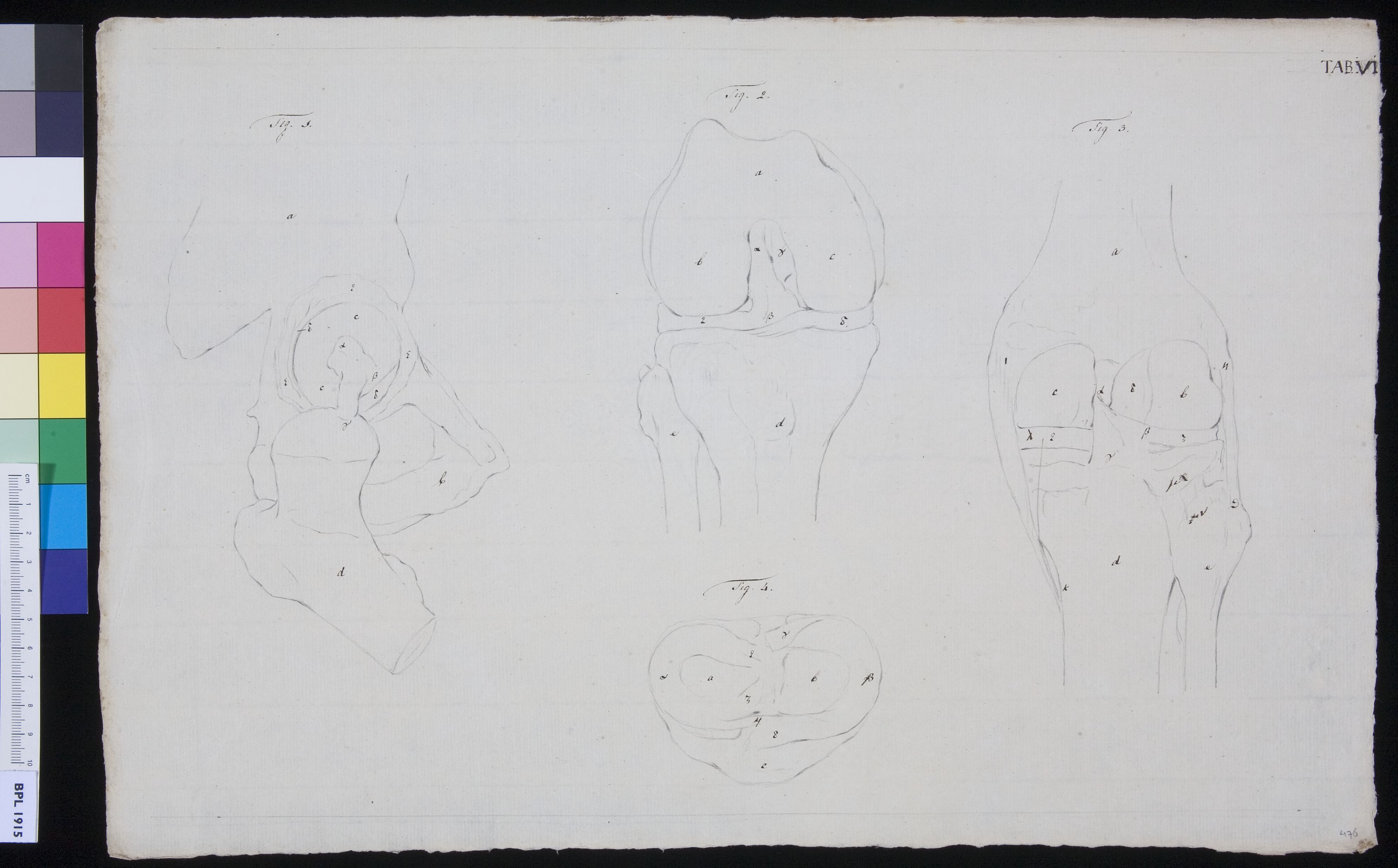Joints (design for a publication)