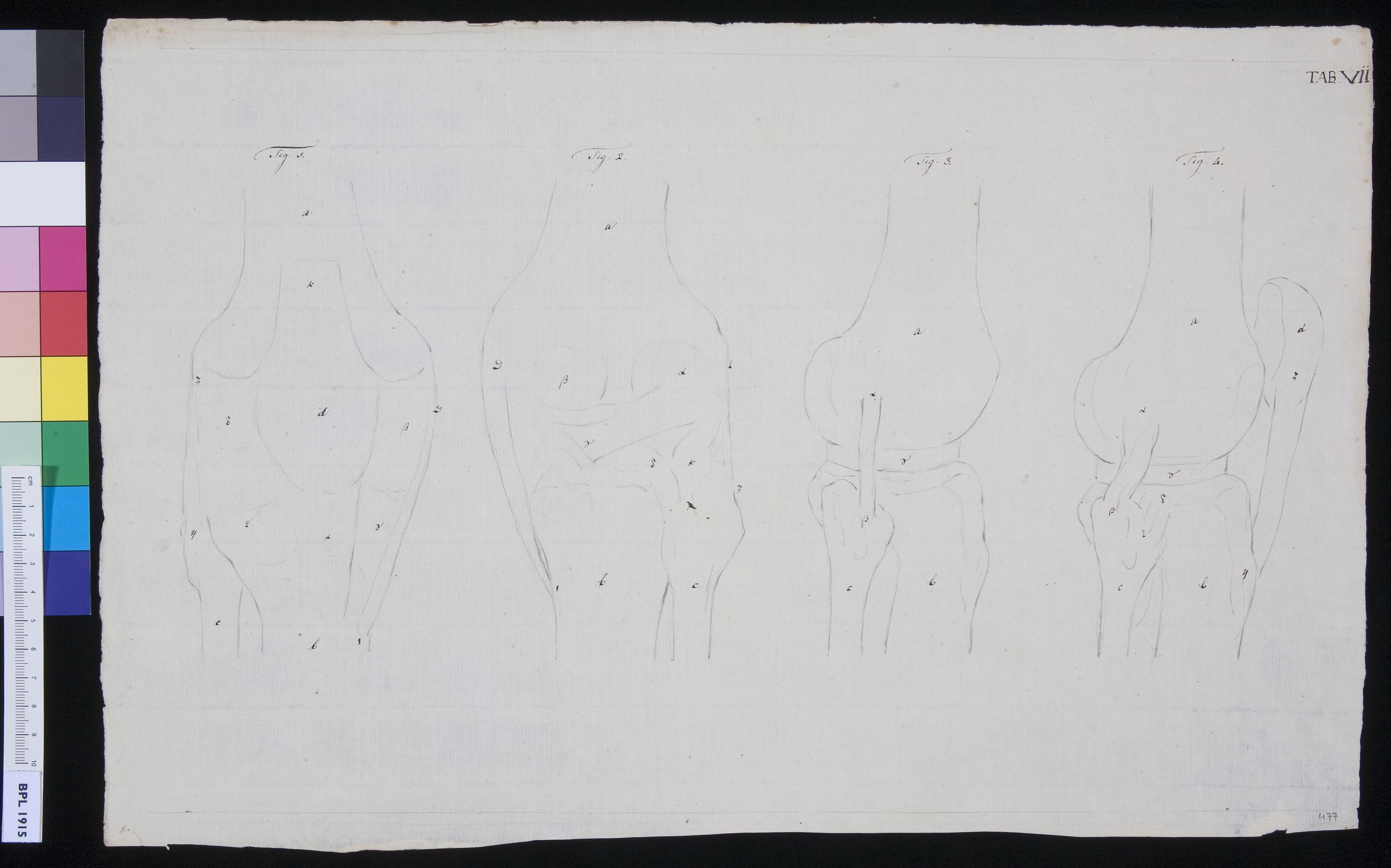 Joints (design for a publication)