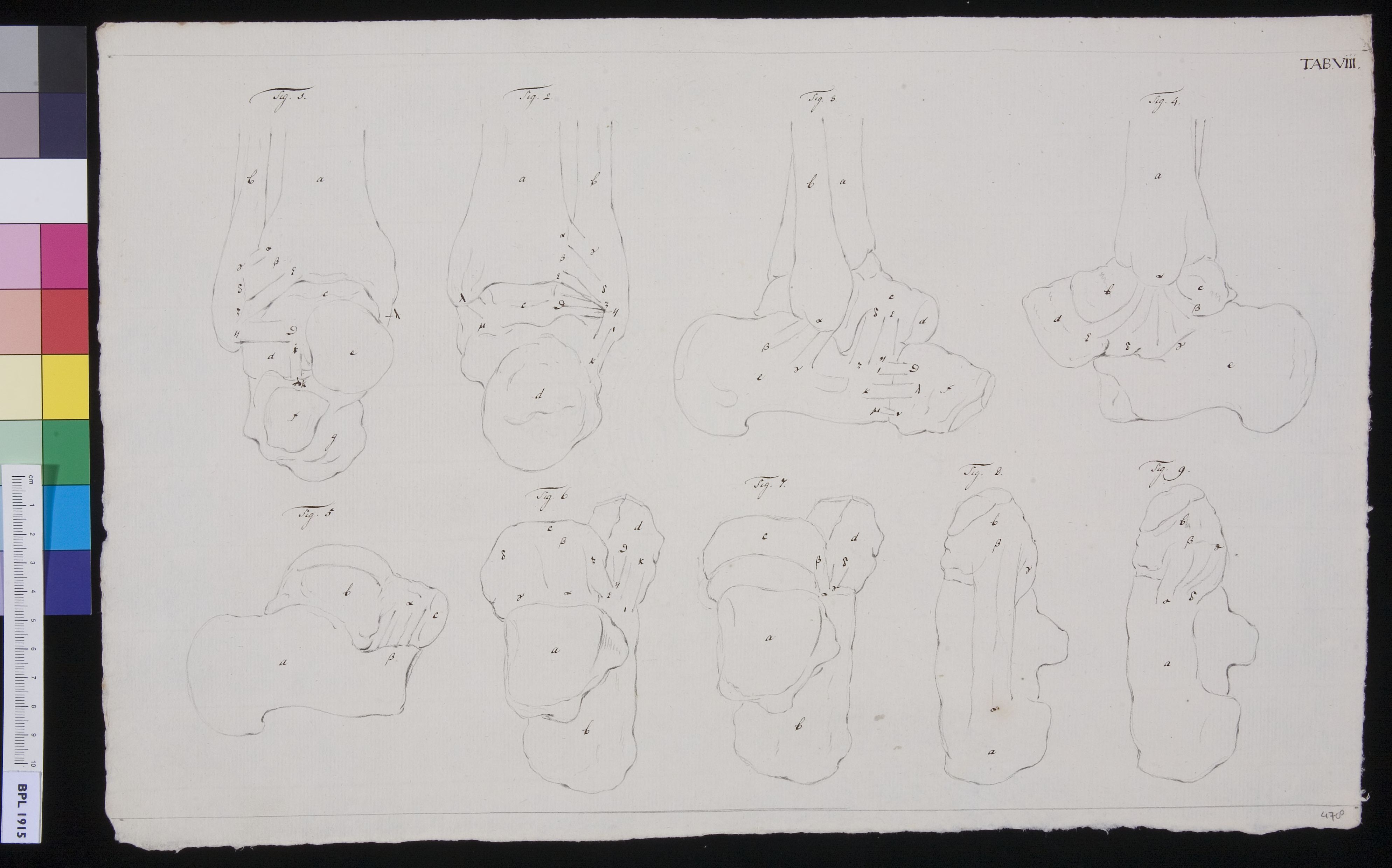 Joints (design for a publication)
