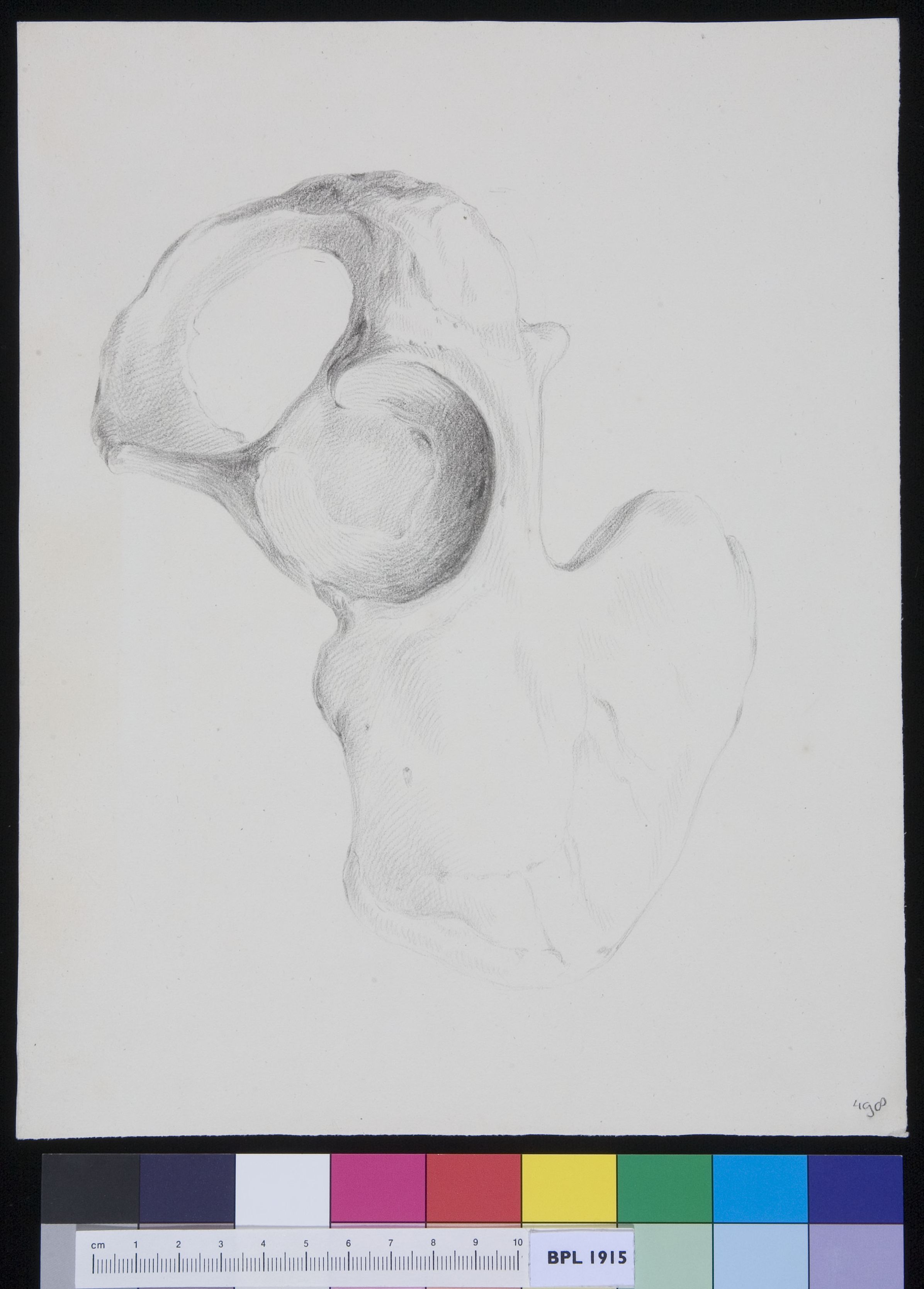 Ilium
