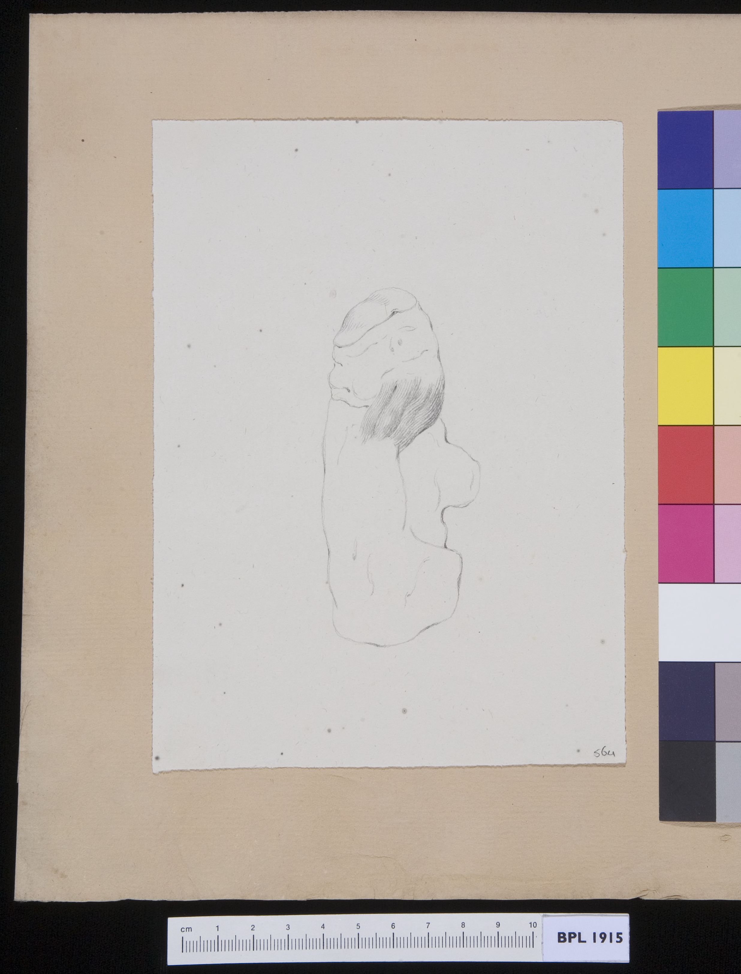 Bones of the hand