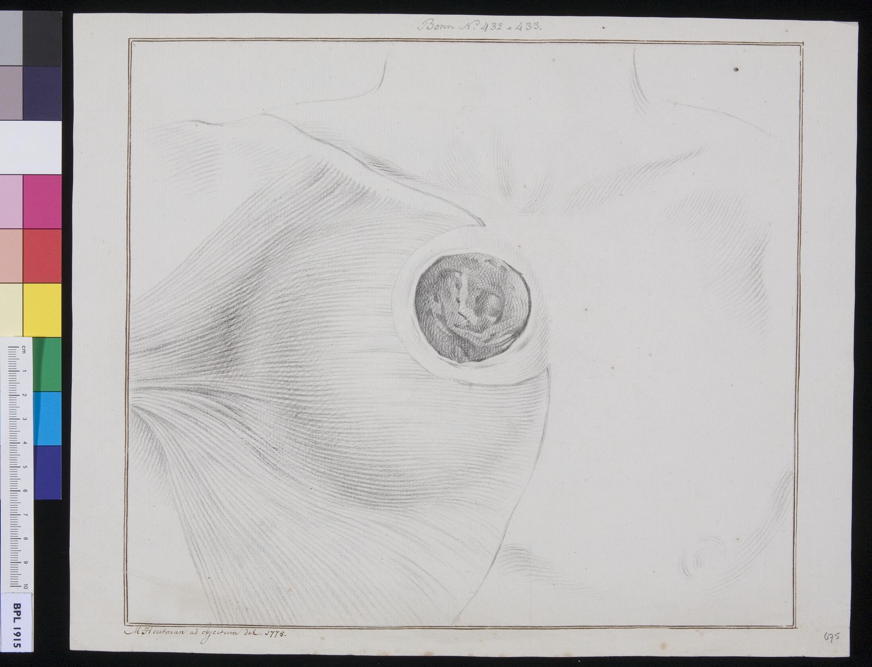 Unidentified subject