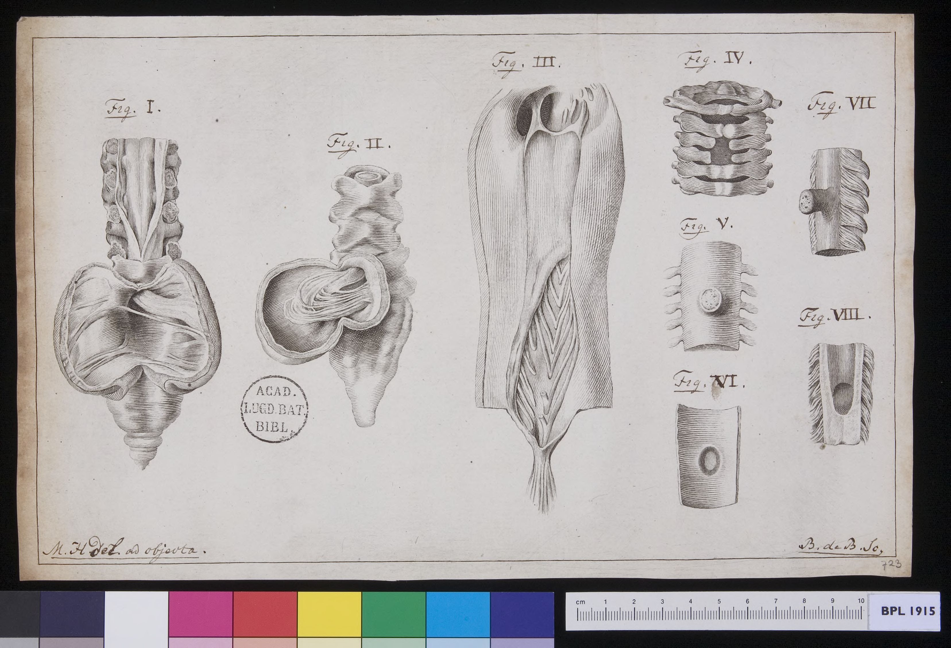 Vertebrae: infections