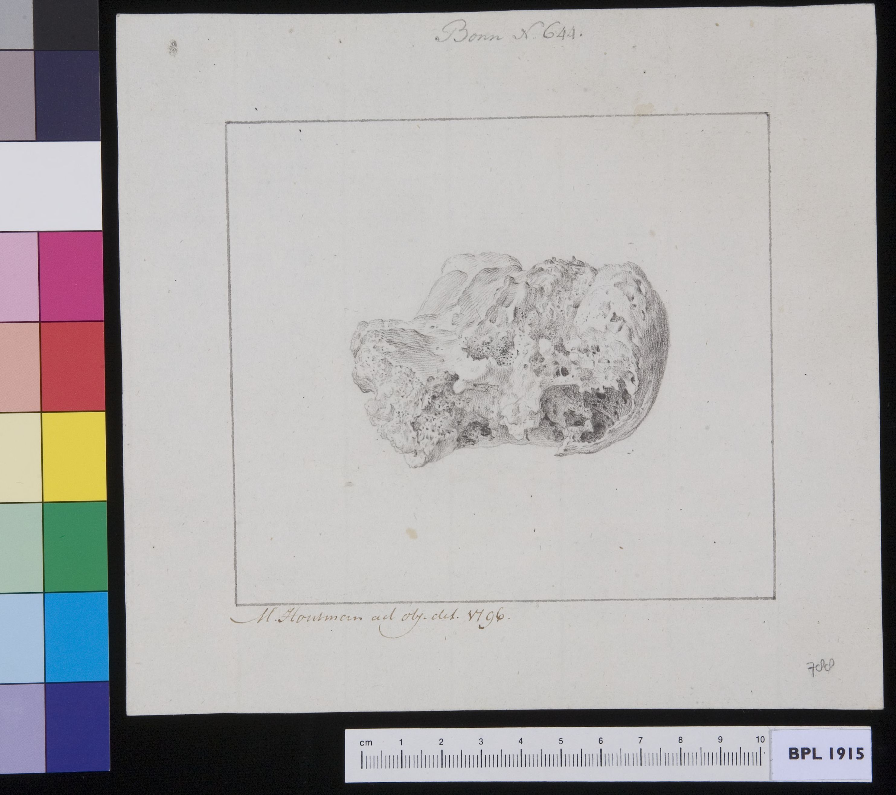 Heel bone