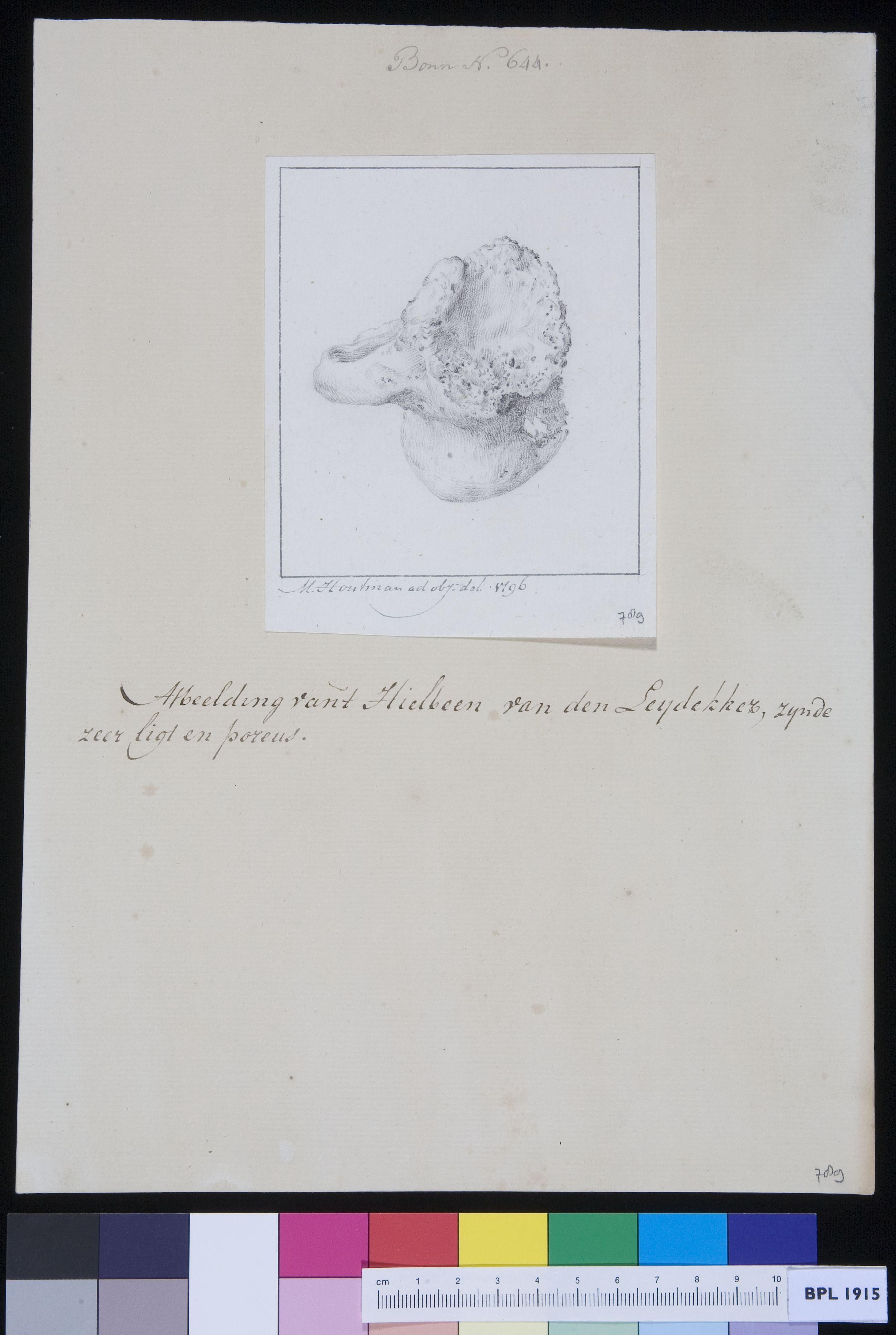 Heel bone