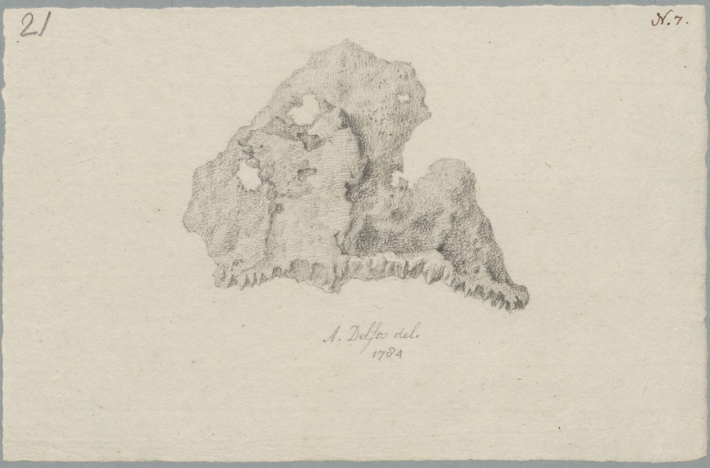 Specimens: skull with head wound