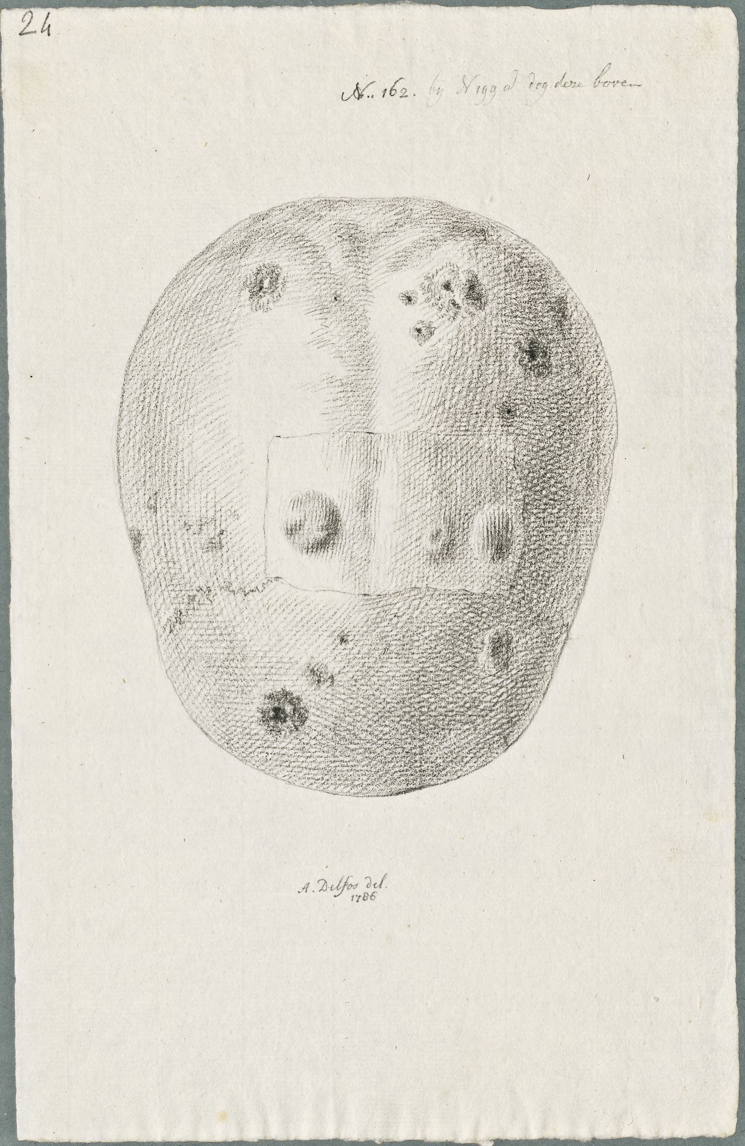 Specimens: skull, syphilis