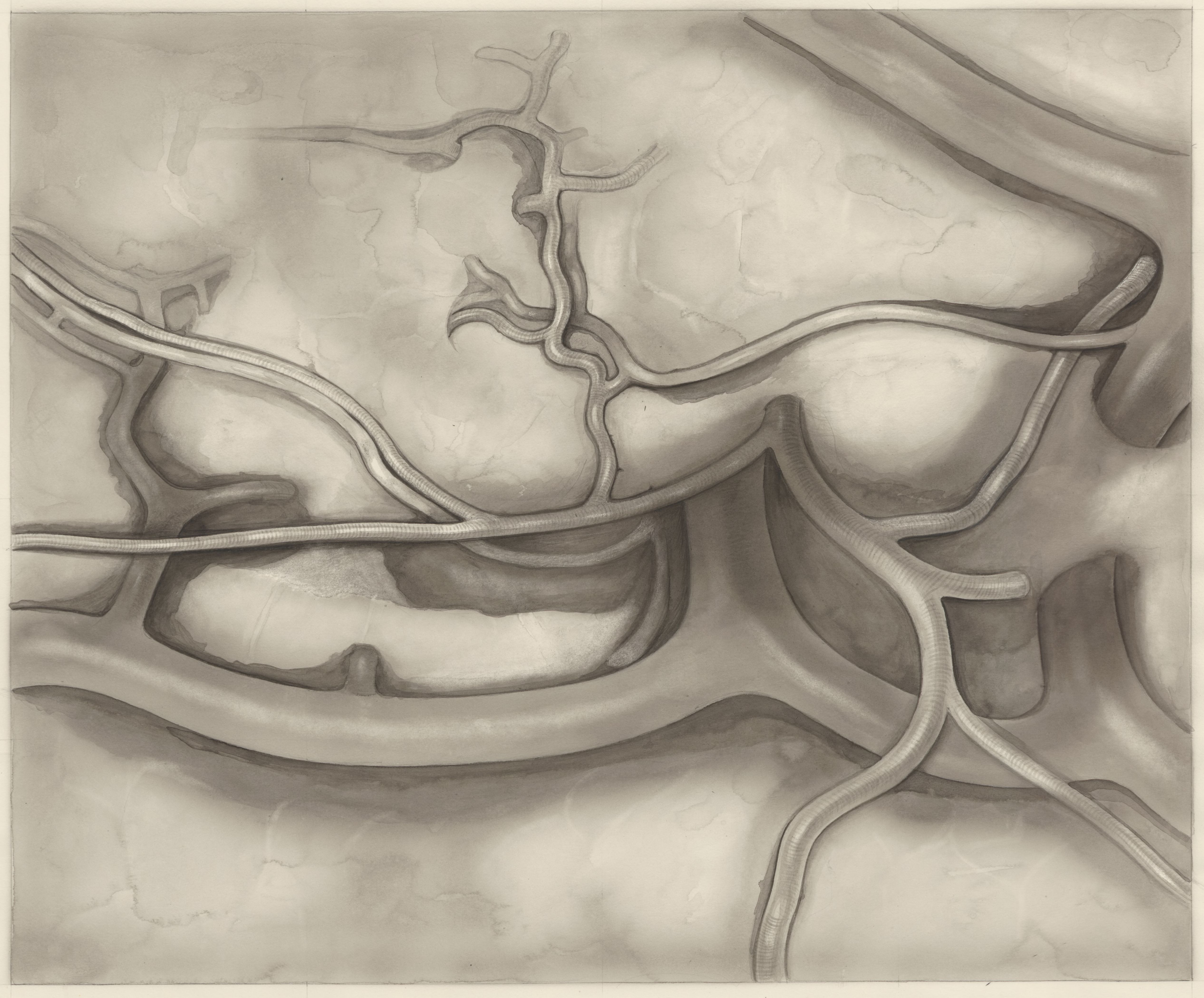Human tissue