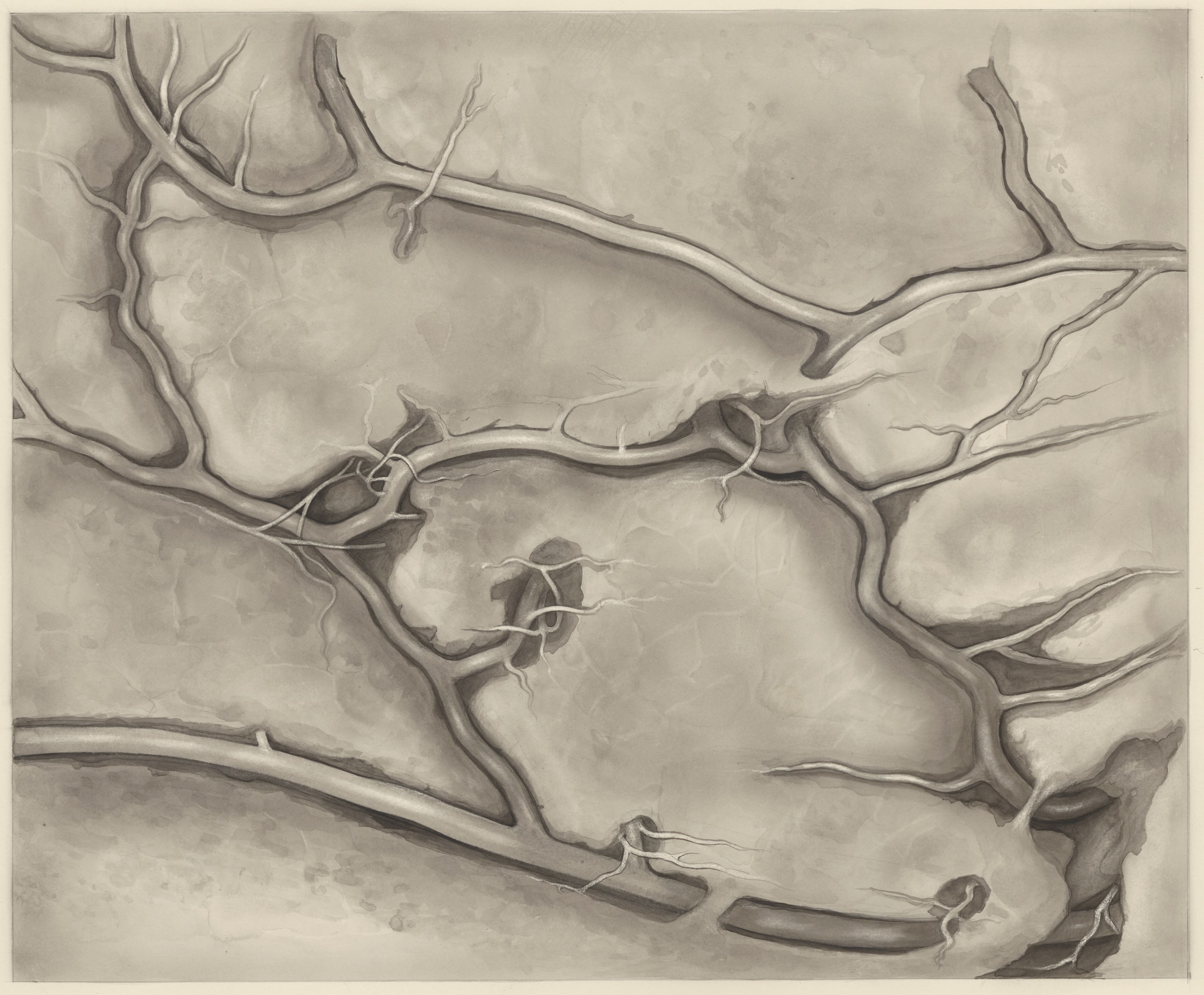 Human tissue