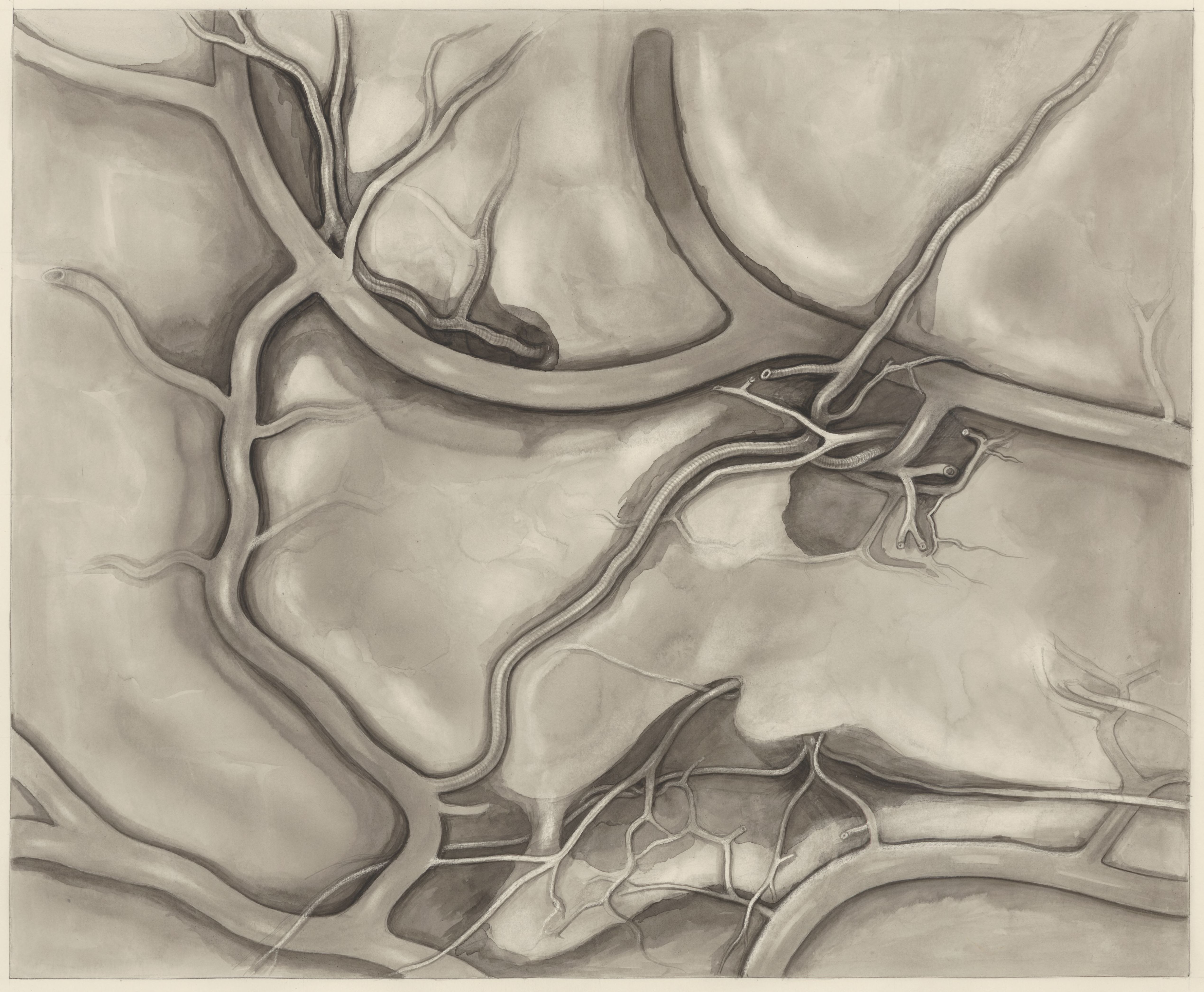 Human tissue
