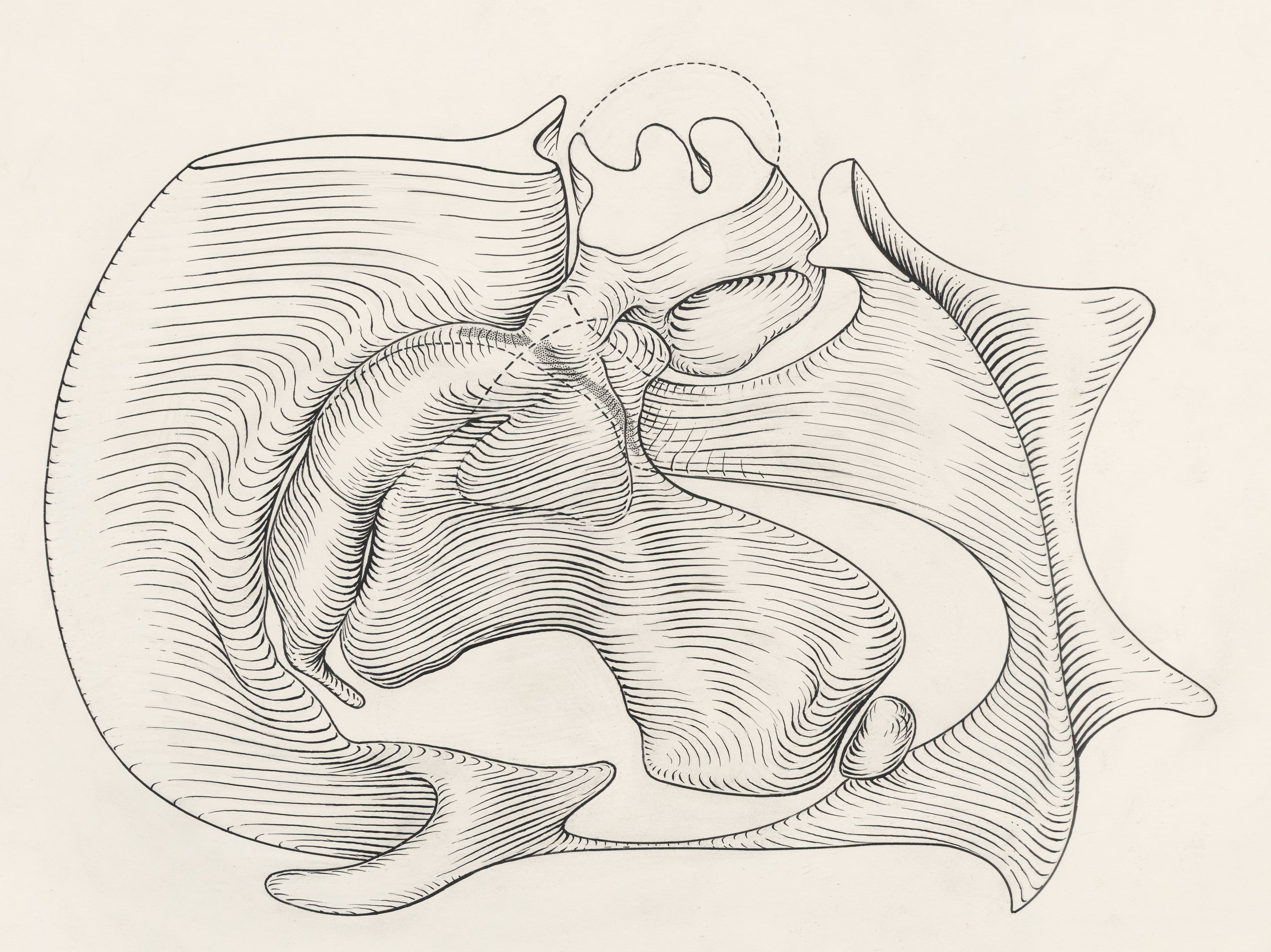 Embryonic heart