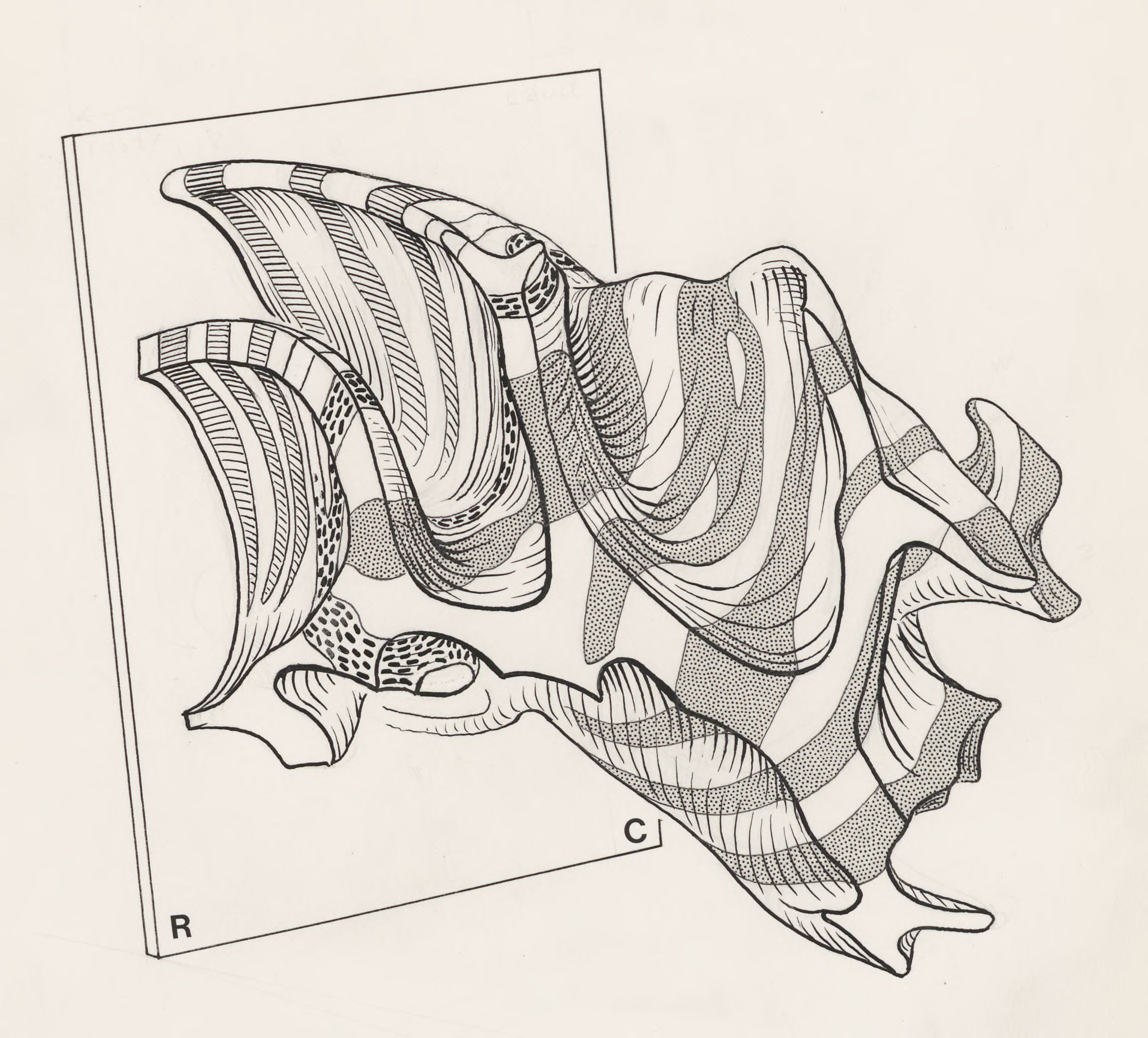 Cerebellum of a mouse