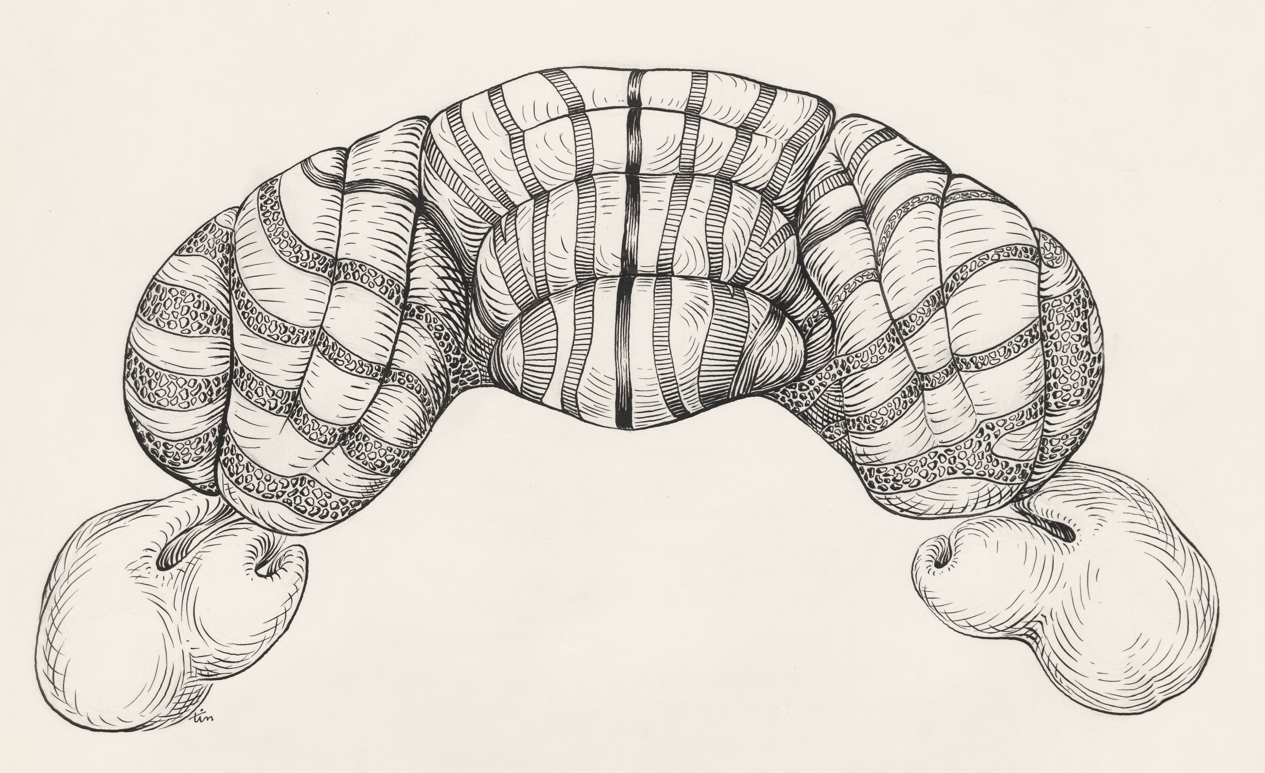 Part of the central nervous system