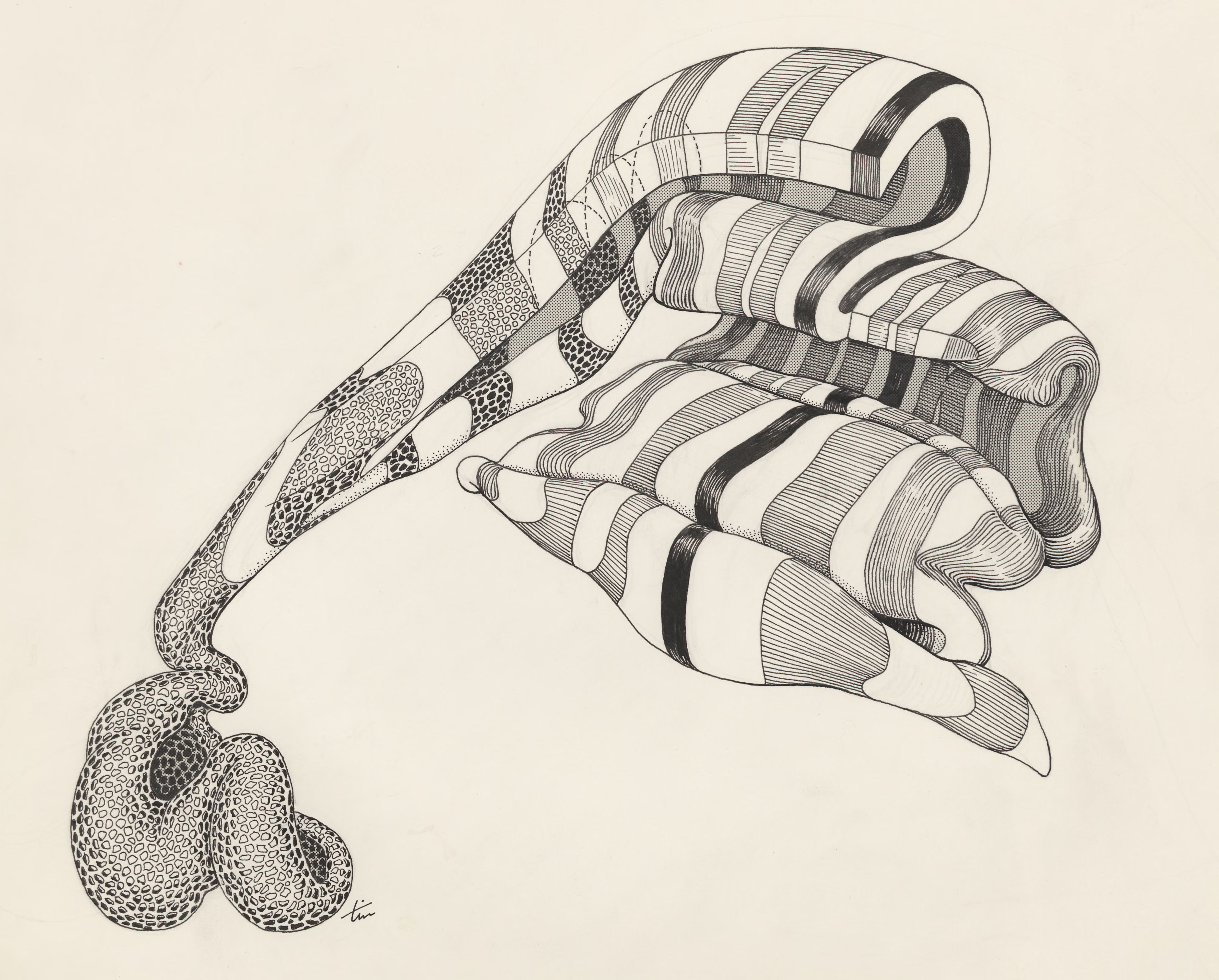 Part of the central nervous system