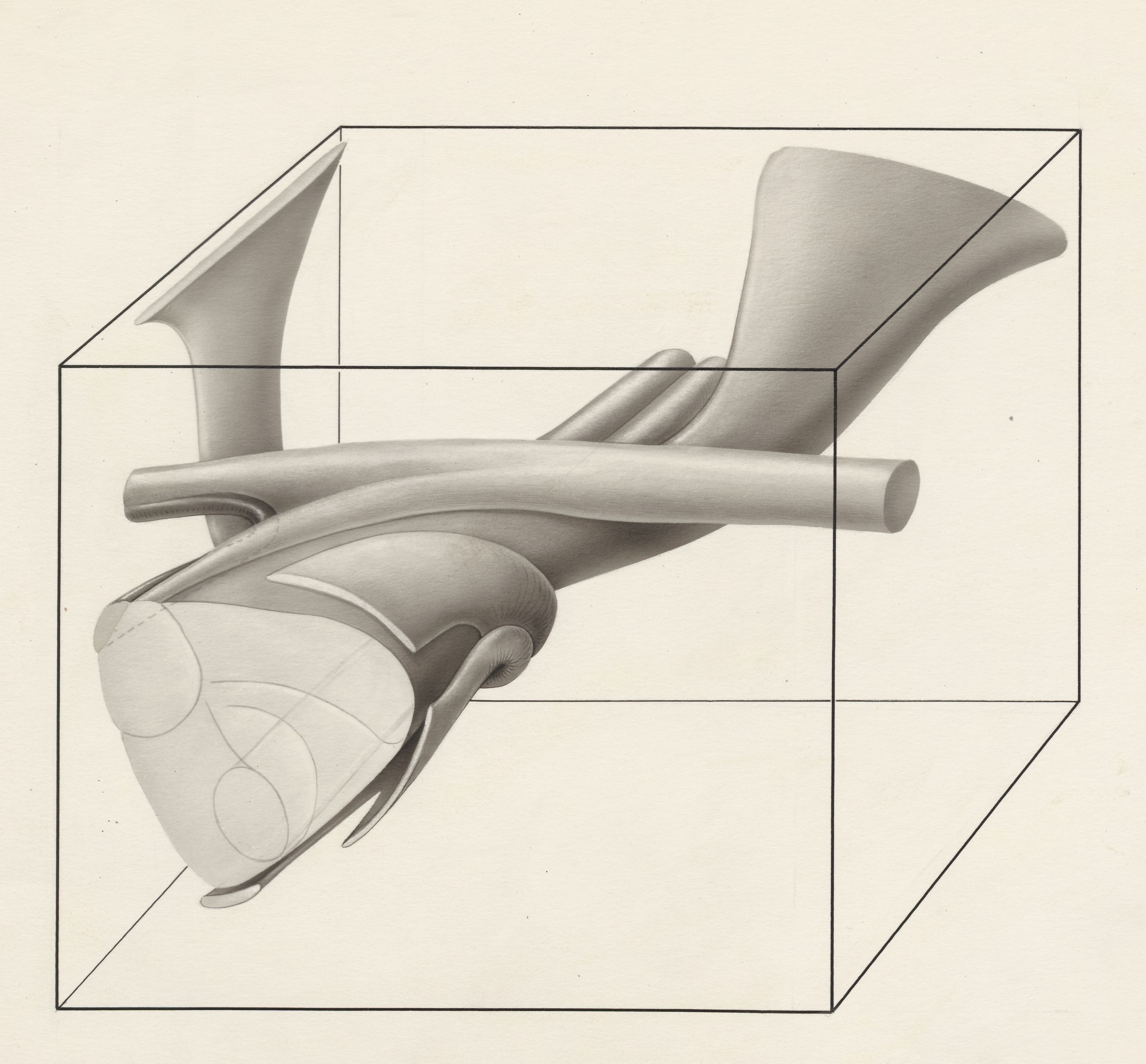 Part of the neuroanatomical system