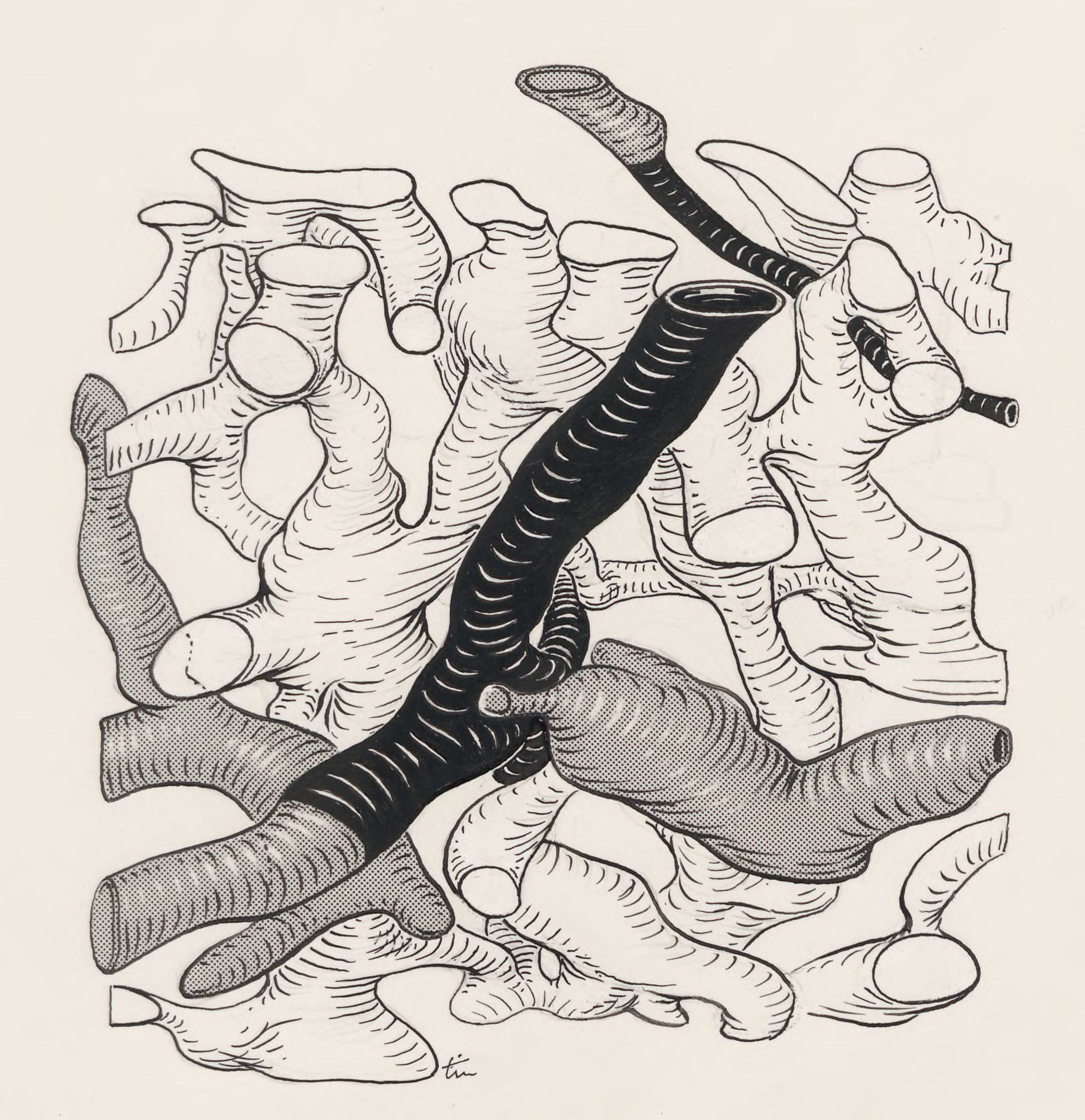 Spleen structure reconstructions
