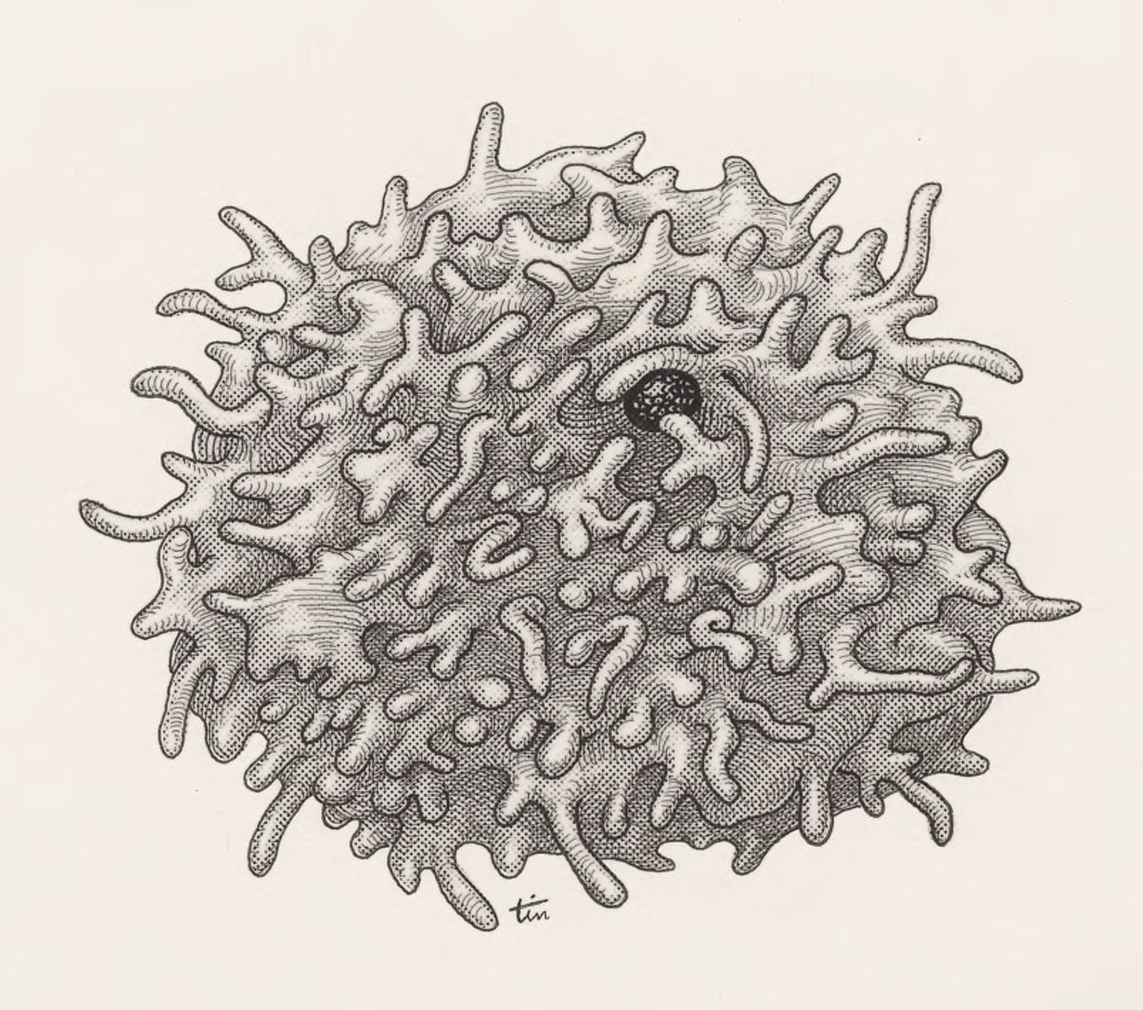 Human tissue